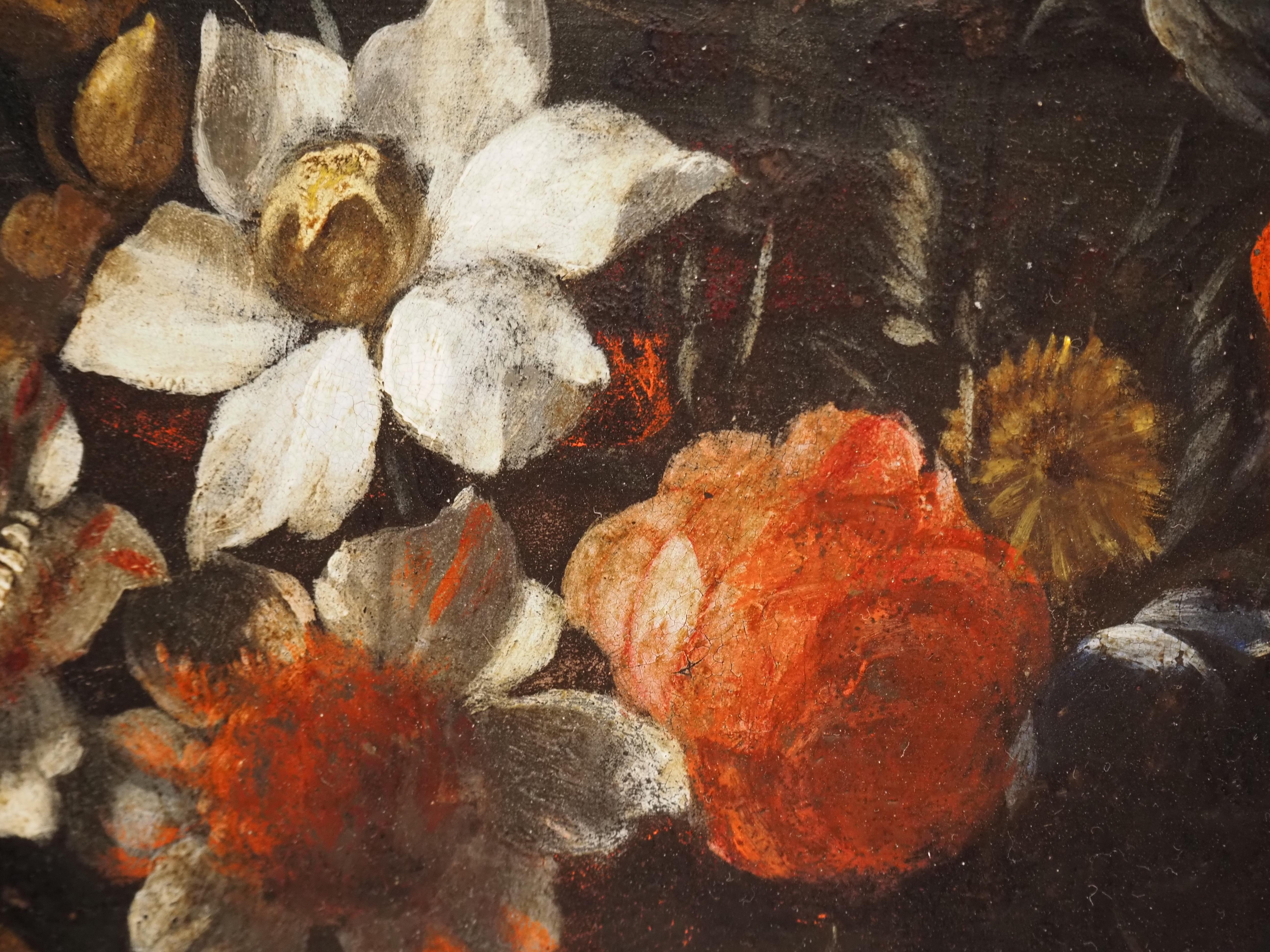 Pareja de bodegones florales sobre cobre, Flandes, siglo XVII, tulipán - Painting Escuela flamenca de Unknown