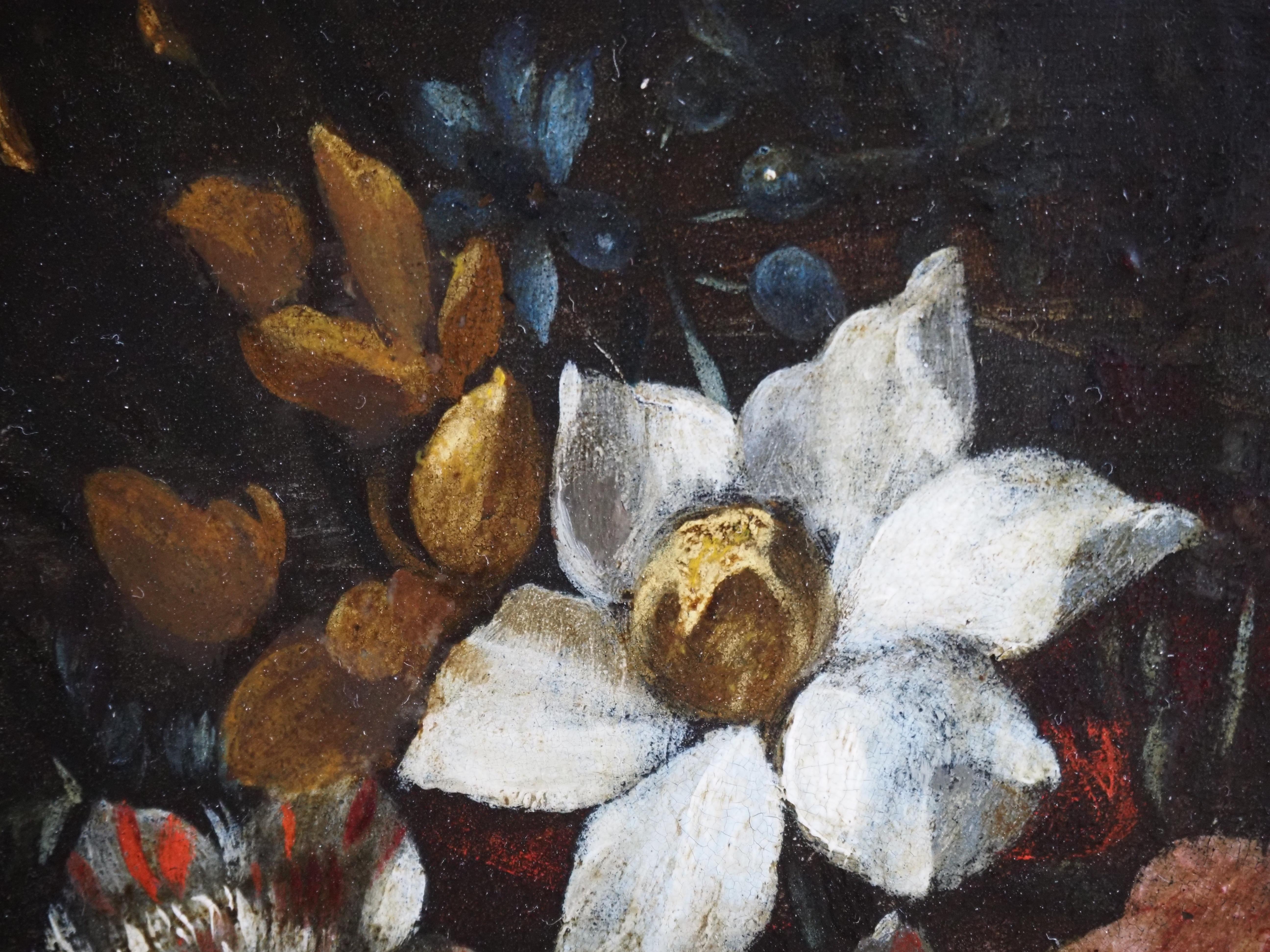 Pareja de bodegones florales sobre cobre, Flandes, siglo XVII, tulipán 1