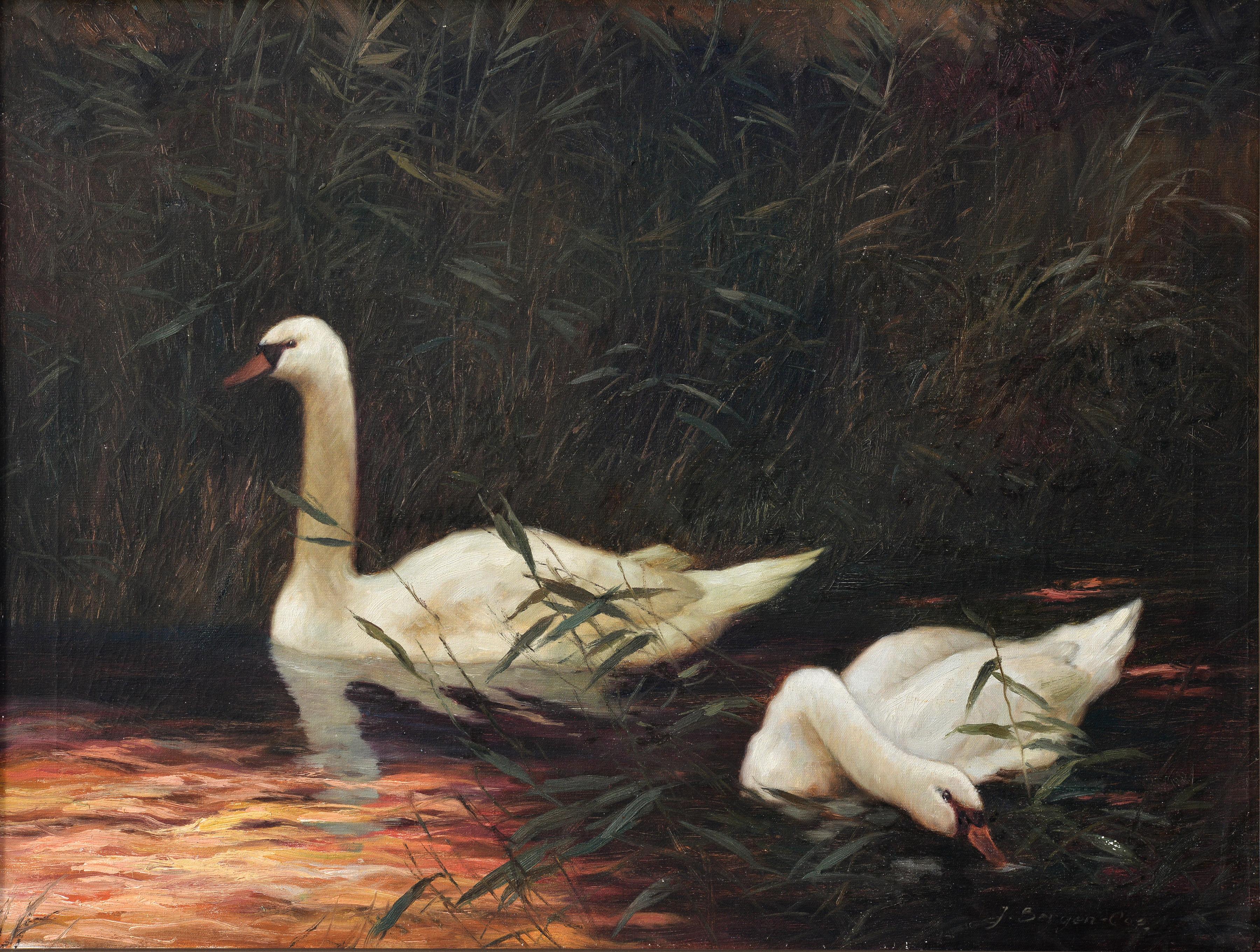 Pair of Snow White Swans at Sunset mid 20th century Vintage Oil Painting Signed - Brown Landscape Painting by Unknown