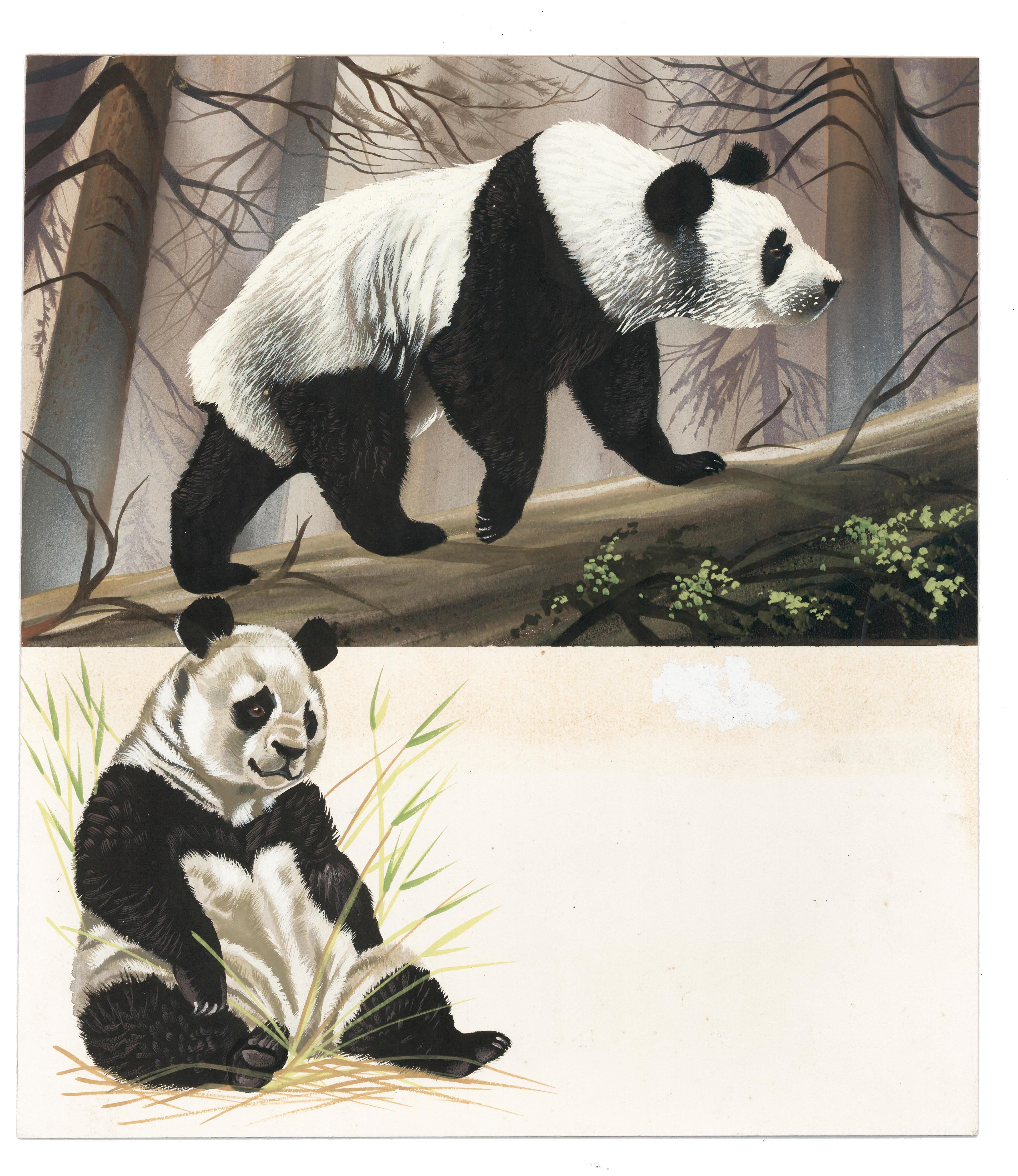 panda paintings