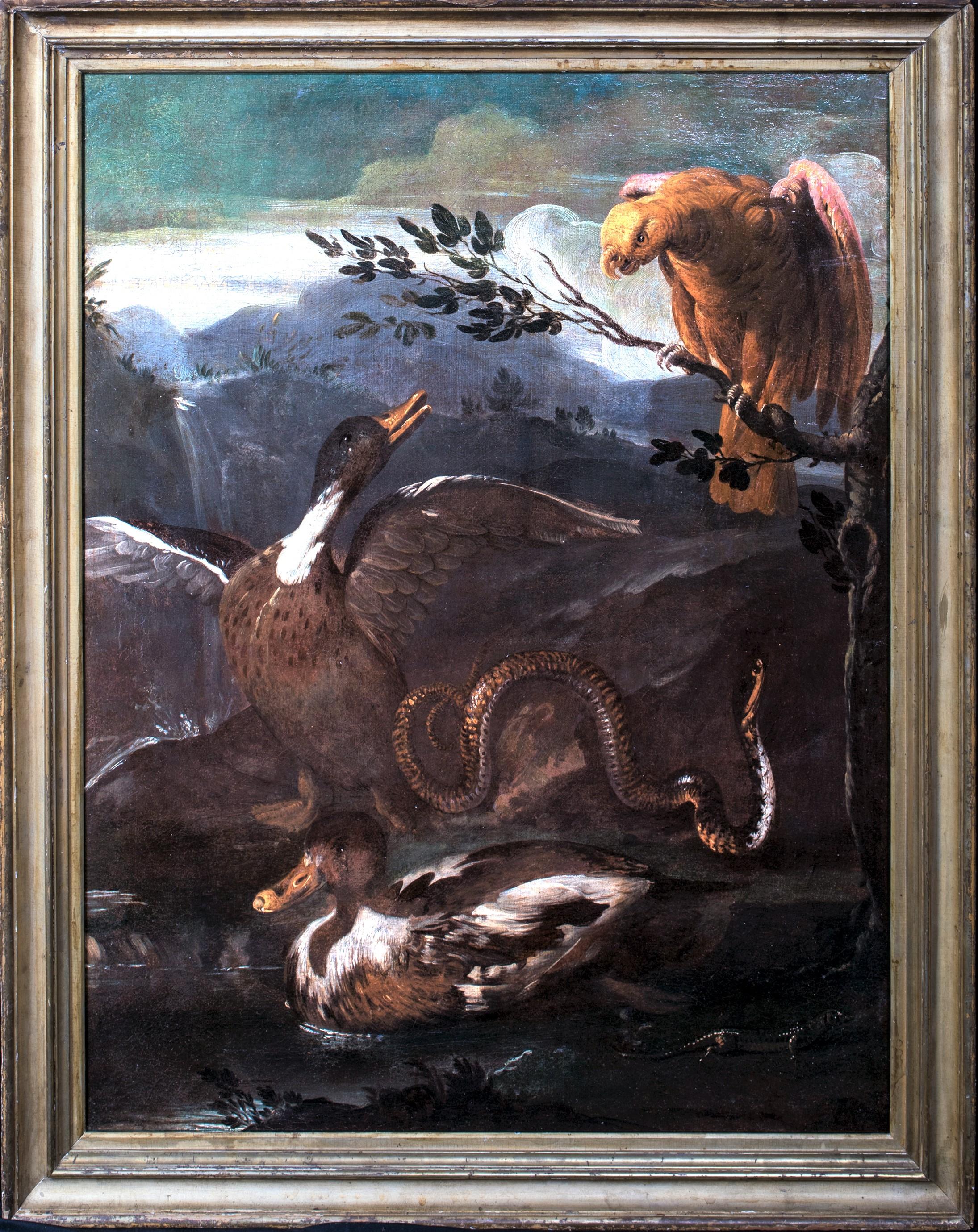 Parrot, Snake, Lizard and Ducks, 17th Century  Genoese School - Painting by Unknown