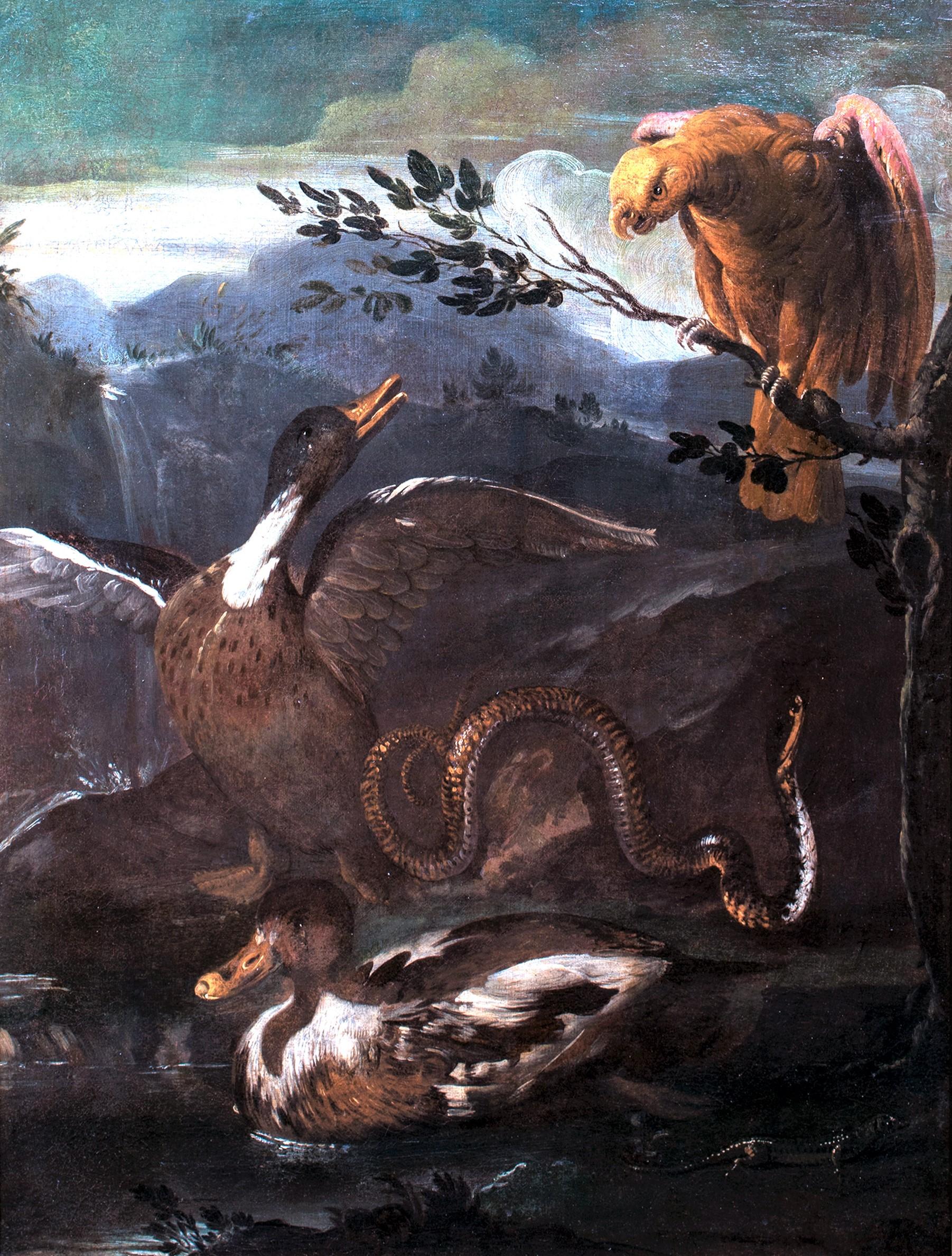 Unknown Animal Painting - Parrot, Snake, Lizard and Ducks, 17th Century  Genoese School