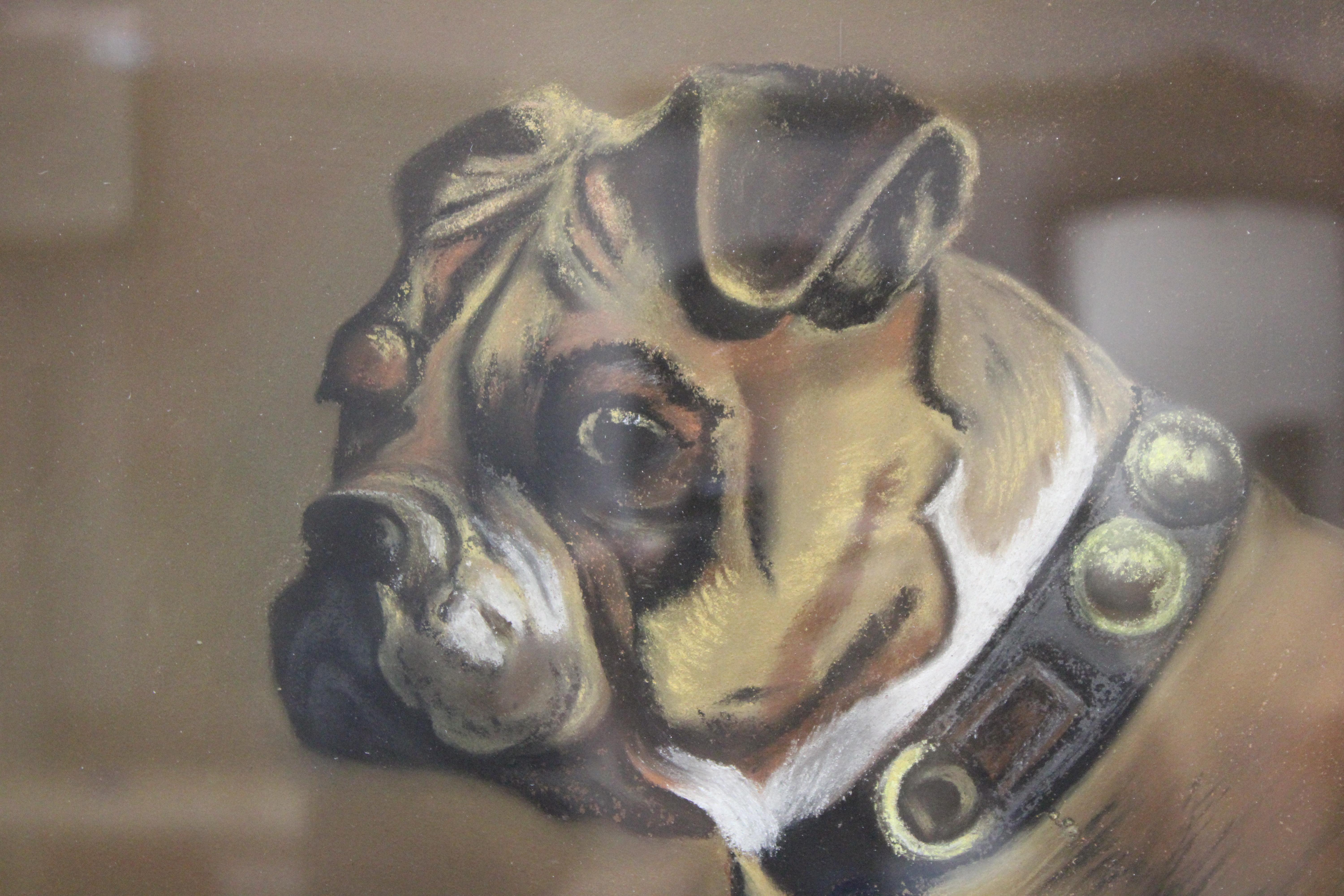 Pastellfarbenes Gemälde eines Boxerhundes (Grau), Animal Painting, von Unknown