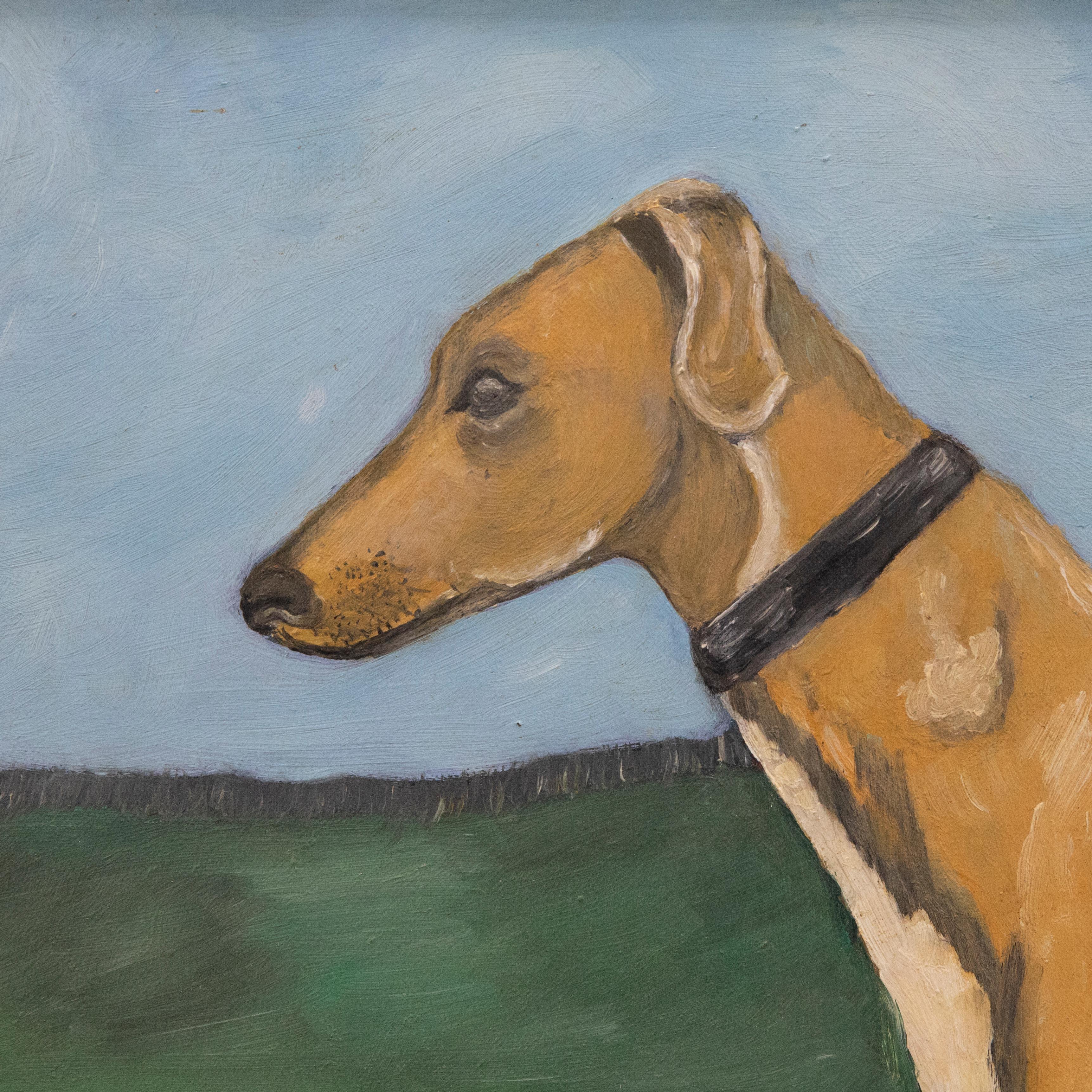 Pauline Ellis  - 1970 Oil, Study of a Greyhound 1