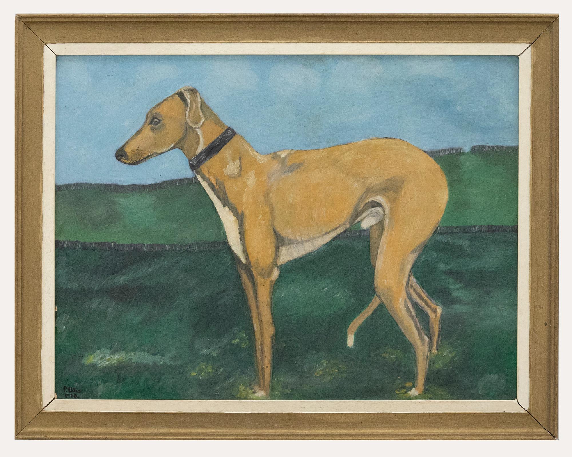 Unknown Animal Painting - Pauline Ellis  - 1970 Oil, Study of a Greyhound