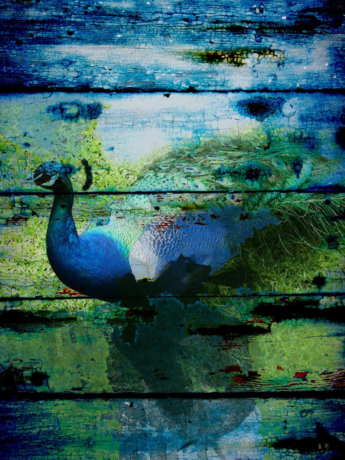 Unknown Animal Painting – Peacock Blau Grün Gemälde, Mischtechnik strukturiert auf Leinwand 60 H X 40 Zoll B 