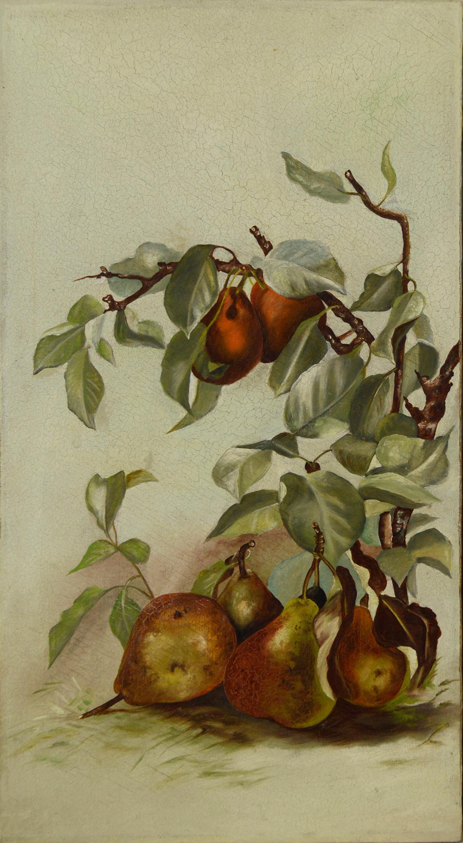 Unknown Still-Life Painting - Pears Aplenty in Victorian Days by anonymous artist 1890s
