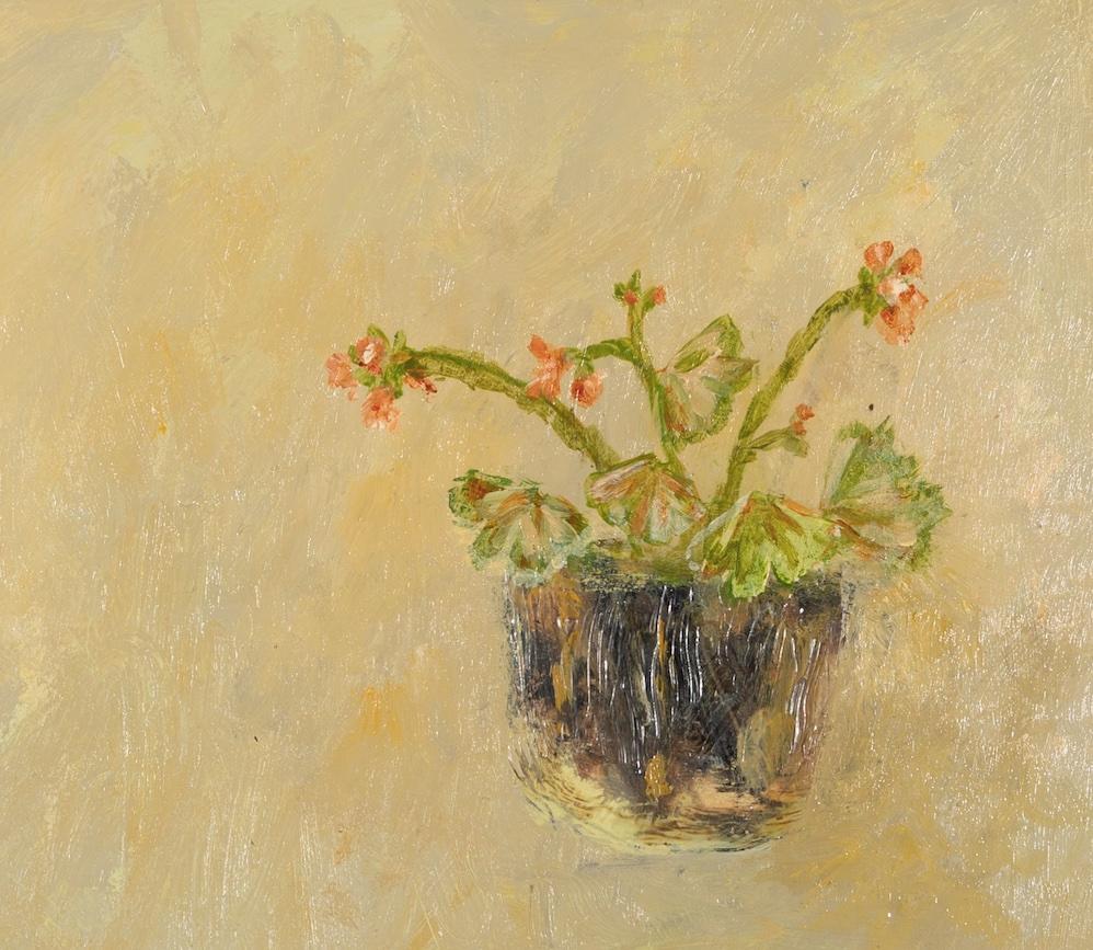 Pelargonios de Stephanie Richards, Naturaleza muerta de flores en tonos neutros, 2024 en venta 2