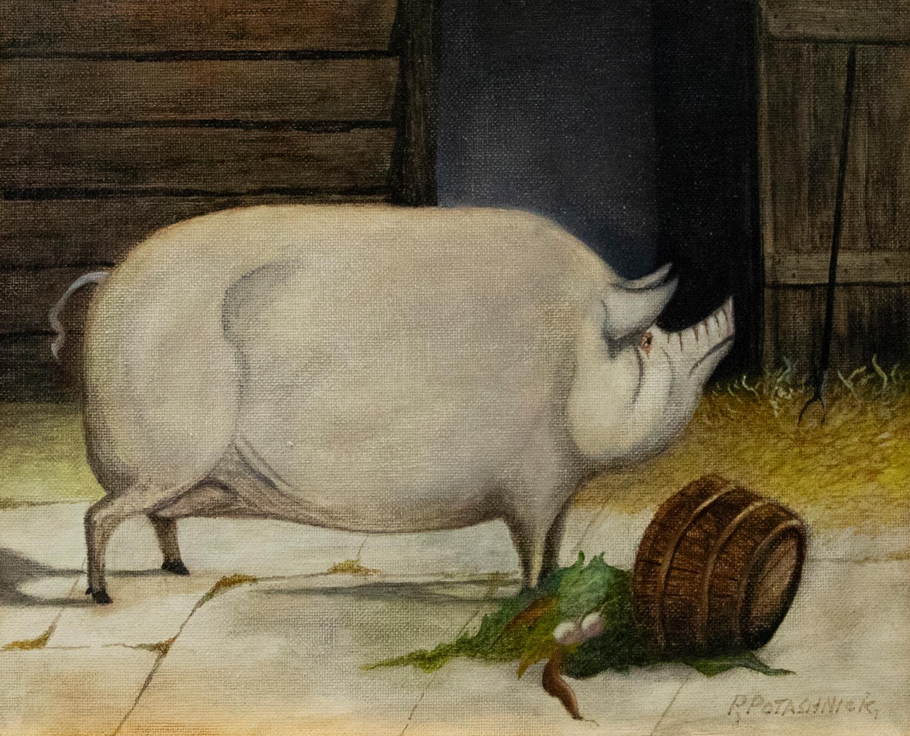 Gerahmtes Ölgemälde des 20. Jahrhunderts von Peter Potashnick, Studie eines großen weißen – Painting von Unknown