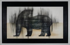 Giro del Oso Polar, por Joseph Rossano, 2020