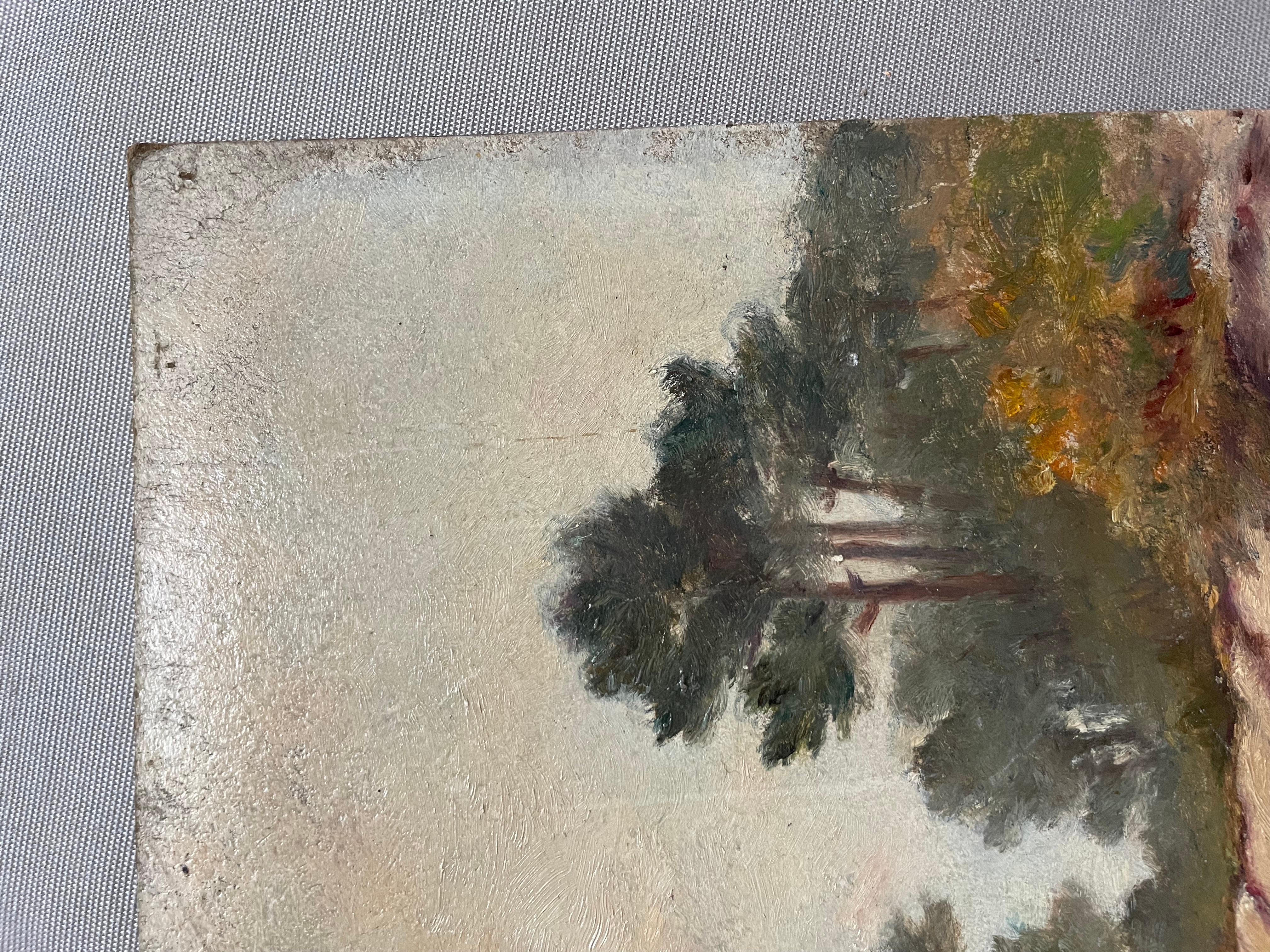 Teich, Südwestfrankreich, Öl auf Karton, frühes 20. Jahrhundert (Grau), Landscape Painting, von Unknown
