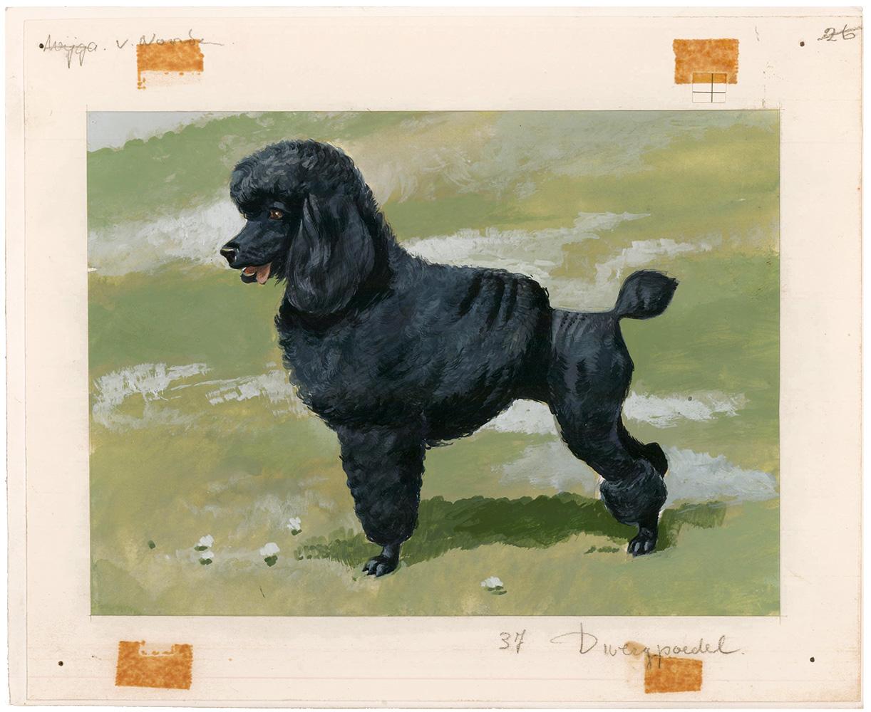 poodle paintings
