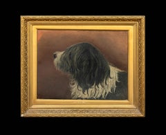 Portrait "Brutus" An Old English Sheepdog, 19th Century English School - signe