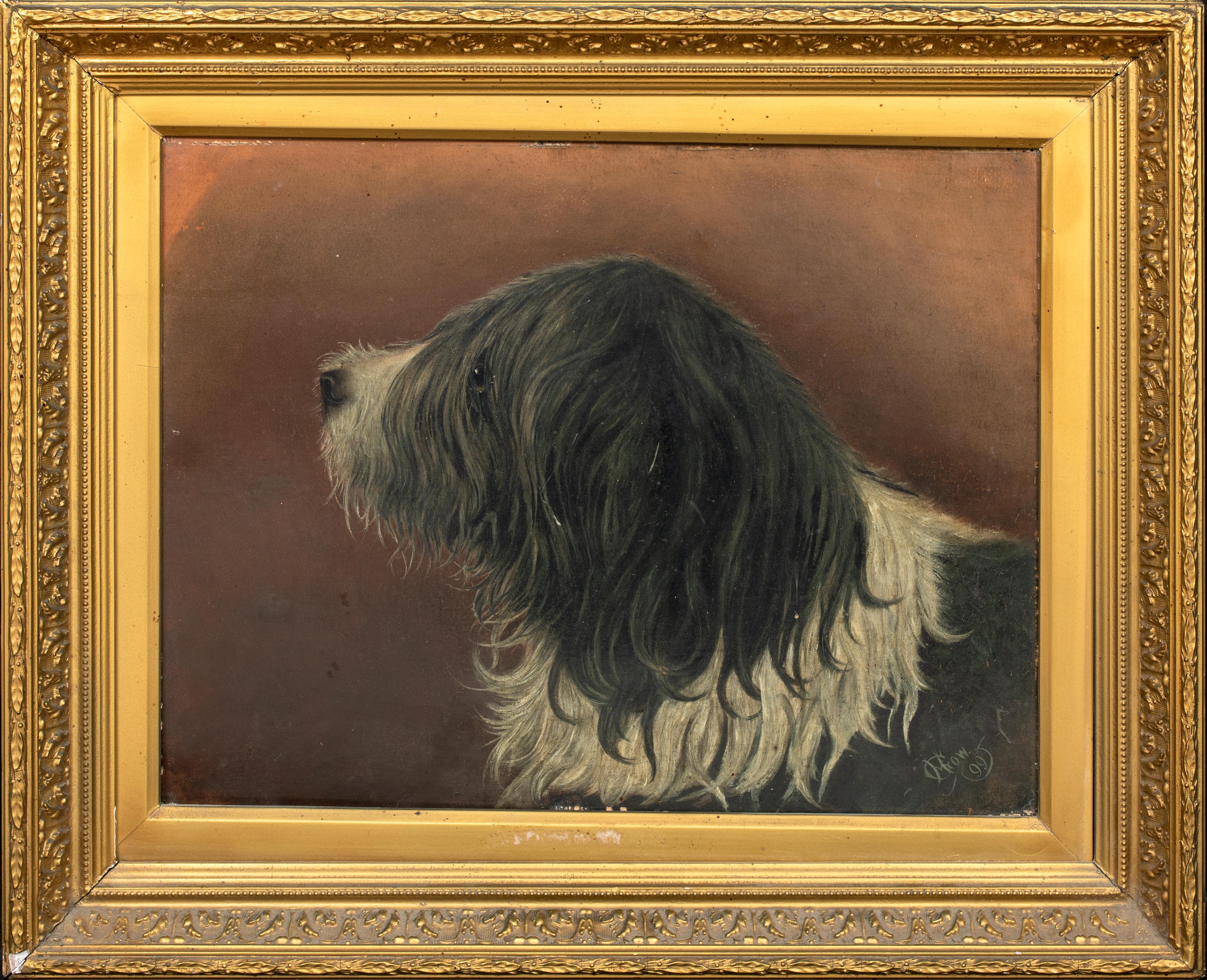 Unknown Animal Painting - Portrait "Brutus" An Old English Sheepdog, 19th Century   English School - signe