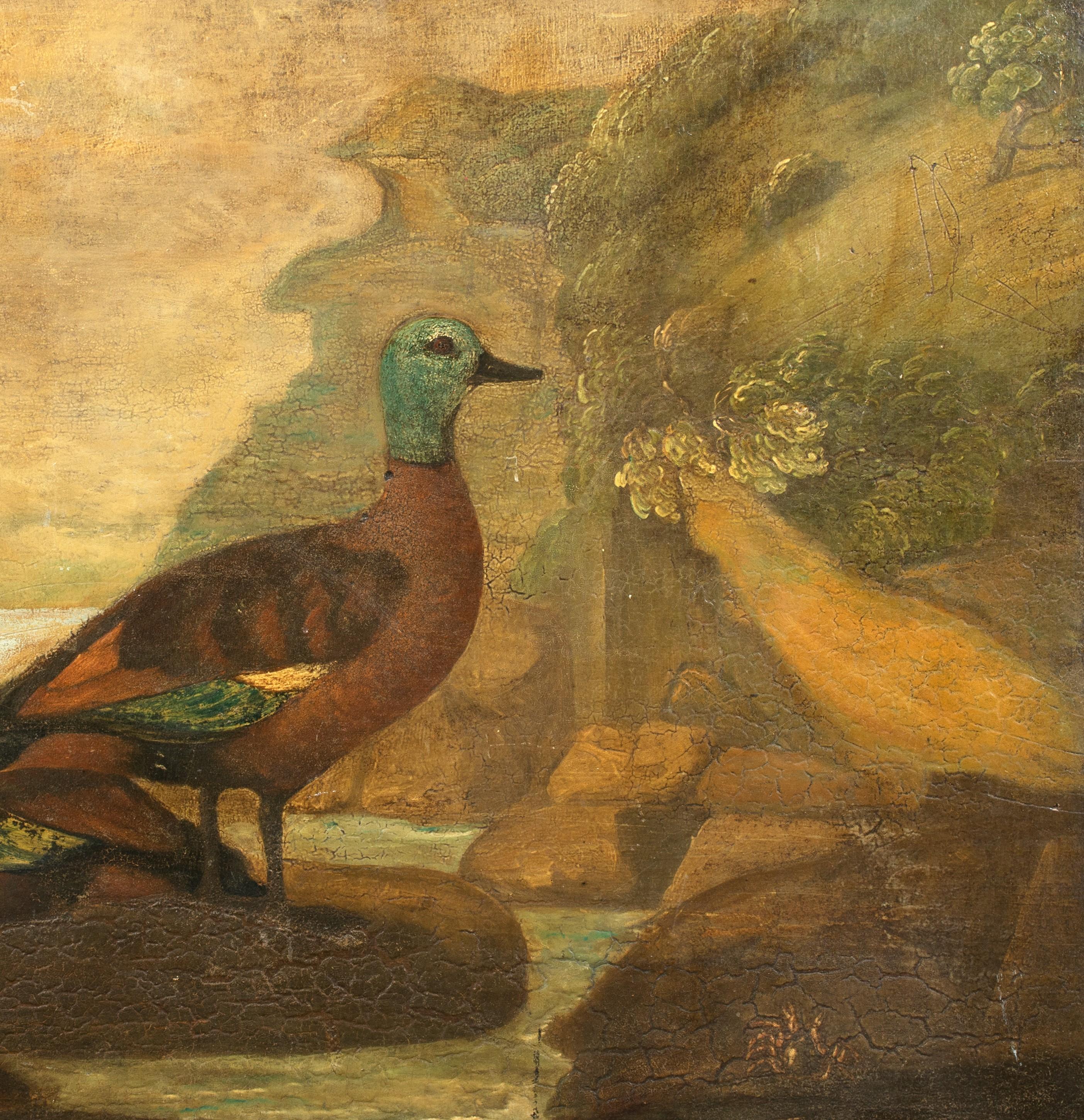 Portrait Of A A Pair Of Ducks, circa 1800 - Brown Portrait Painting by Unknown