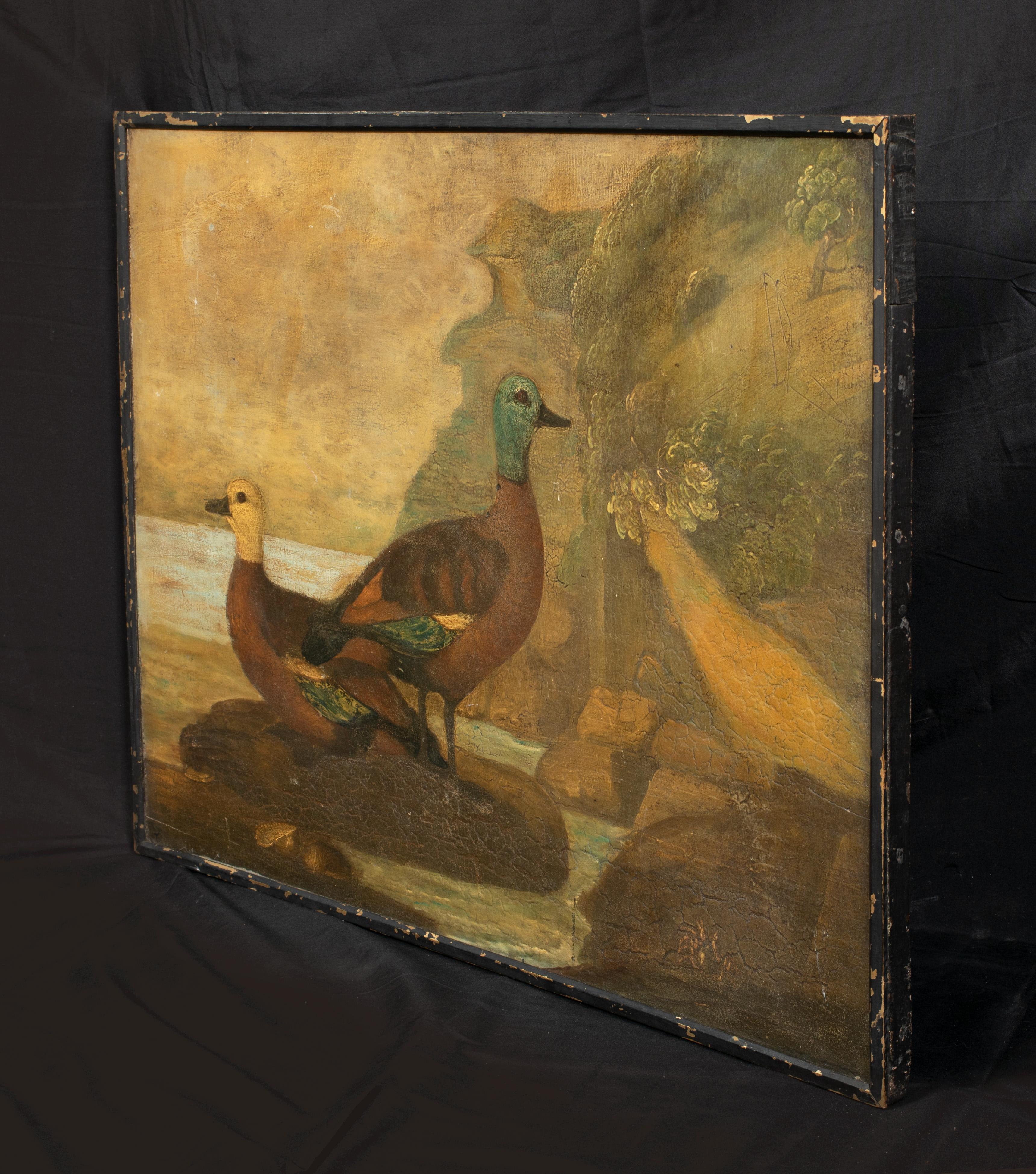 Portrait Of A A Pair Of Ducks, circa 1800

Rare Early English Naive School Study

Large 18th Century  English Naive School study of a pair of ducks by the waters edge, oil on panel. Good quality and condition for its age (needs a light clean that