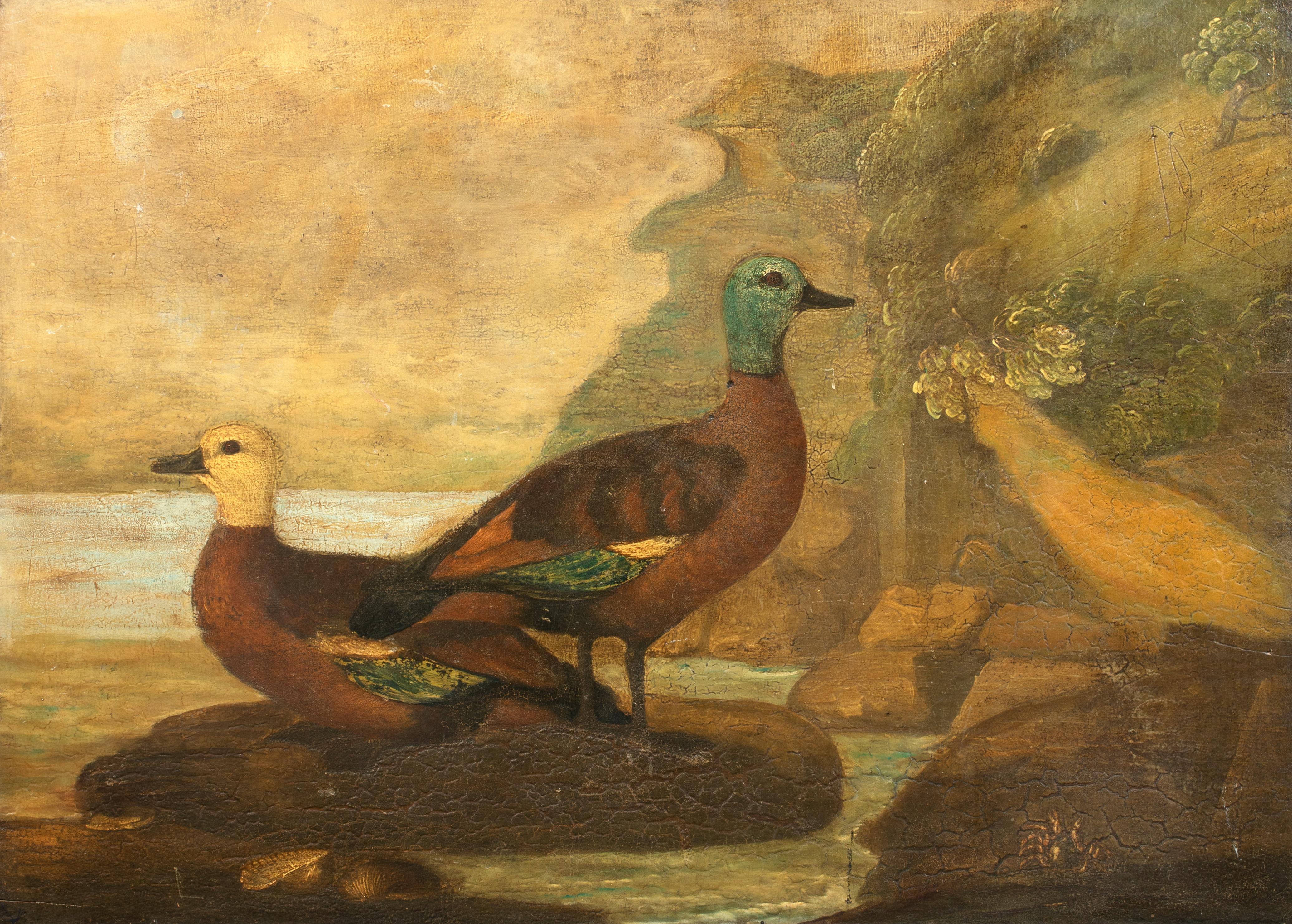 Portrait Painting Unknown - Portrait d'une paire de canards, vers 1800