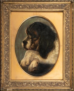 Portrait d'un chiot d'aigle. 19ème siècle École anglaise