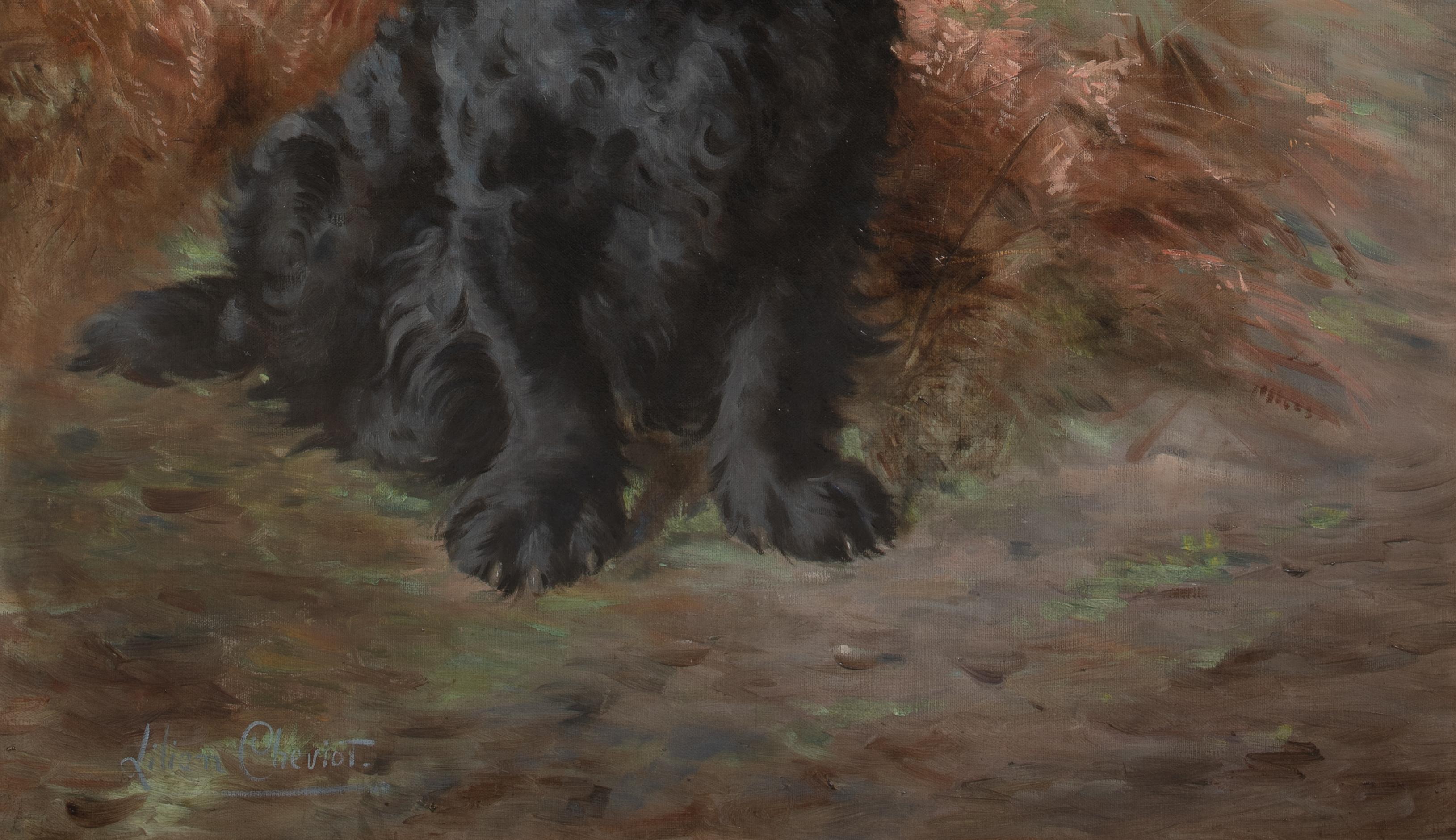 Ritratto di un Cocker Spaniel nero, XIX secolo  di Lilian Cheviot (1864-1932) 7