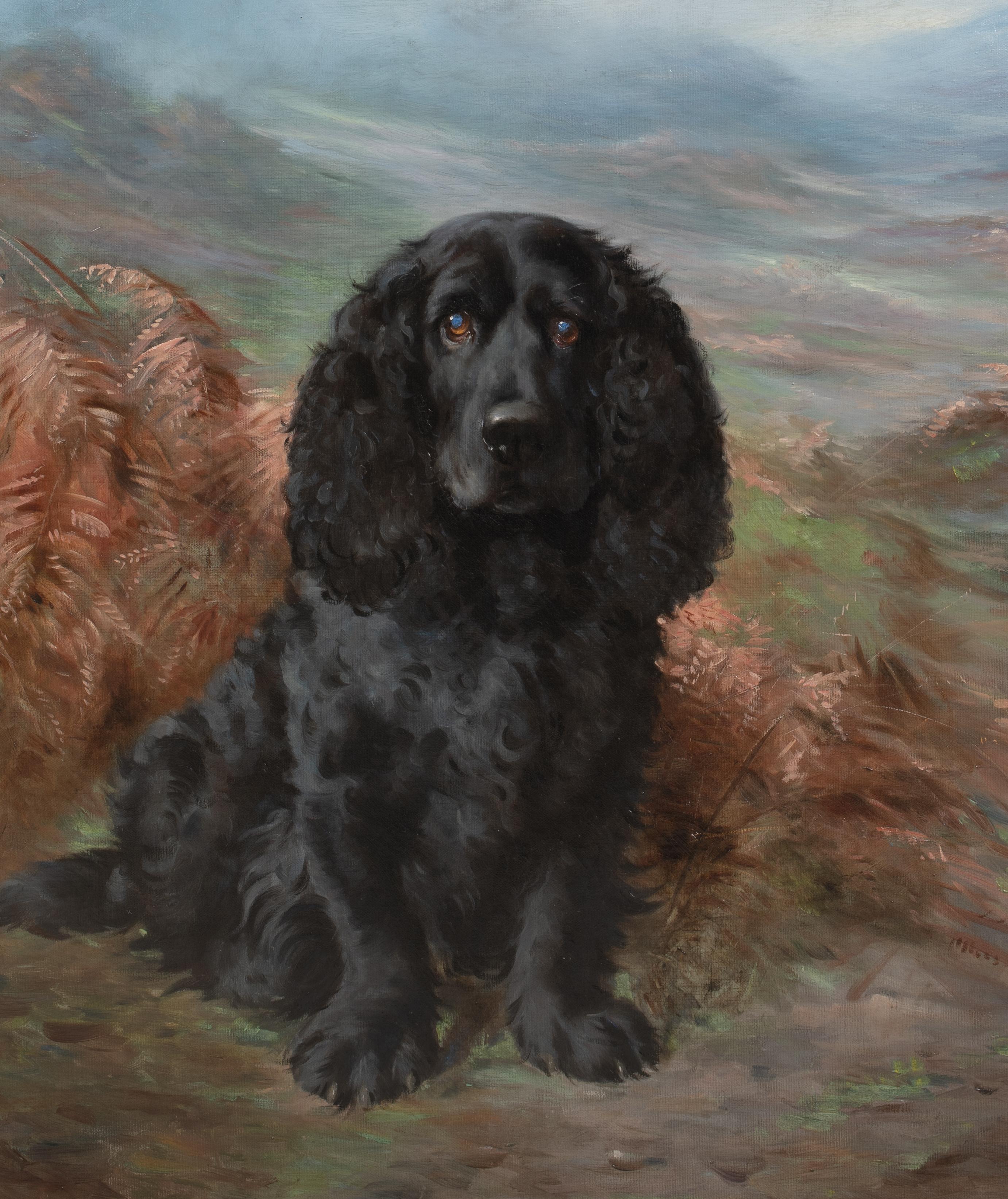 Ritratto di un Cocker Spaniel nero, XIX secolo  di Lilian Cheviot (1864-1932) 2