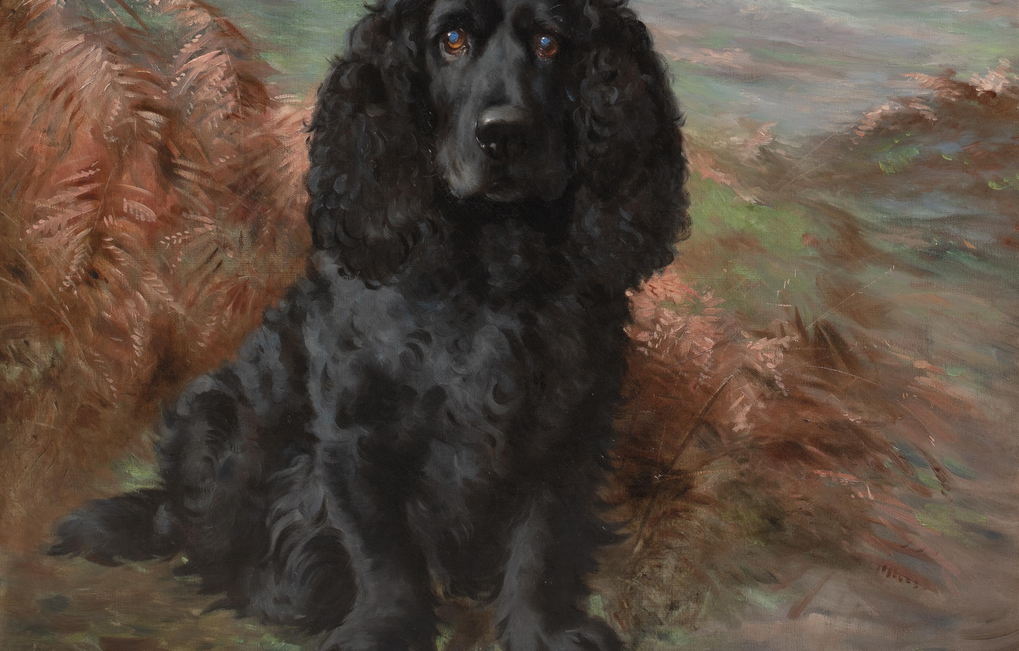 Ritratto di un Cocker Spaniel nero, XIX secolo  di Lilian Cheviot (1864-1932) 3