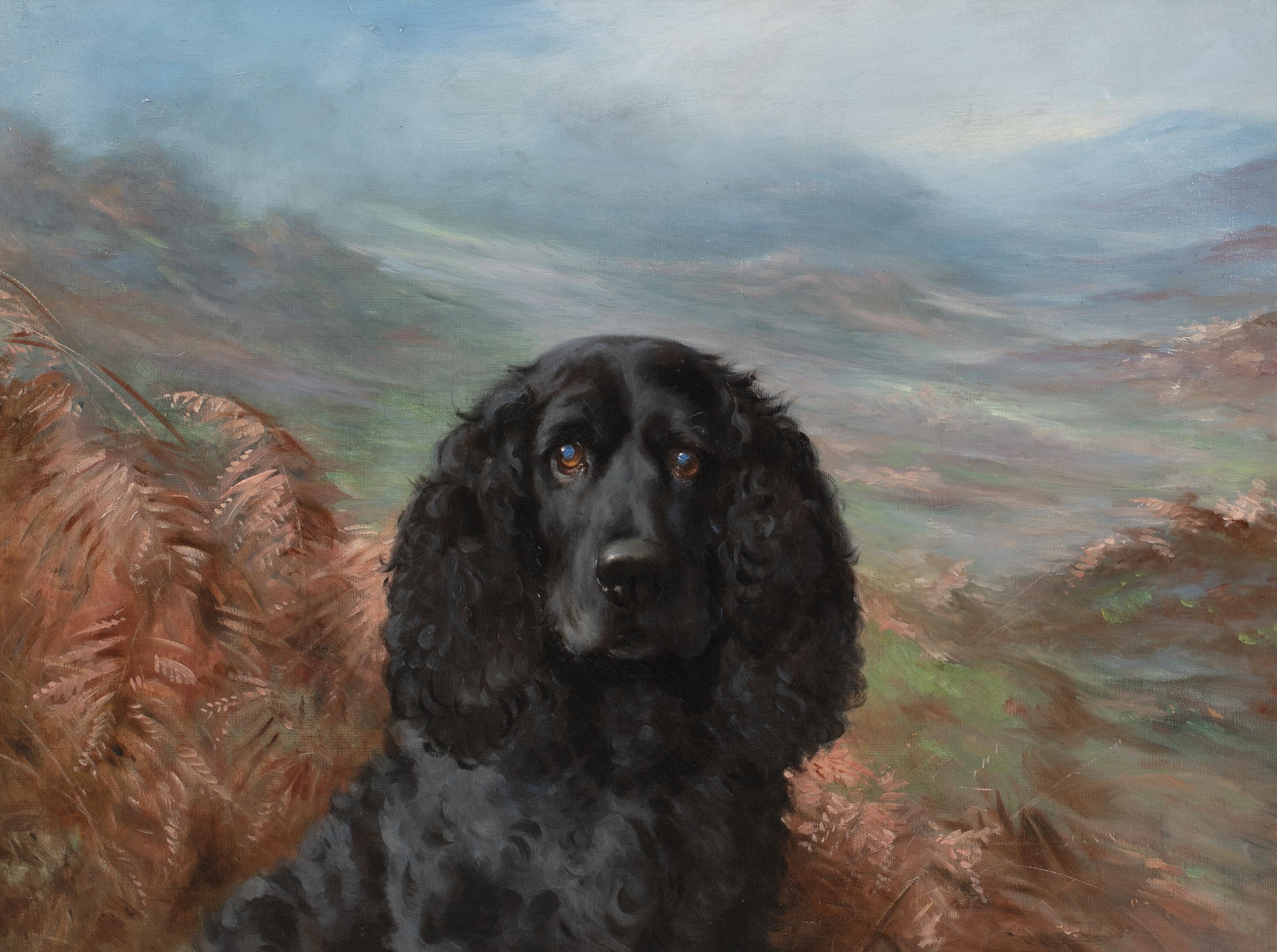 Ritratto di un Cocker Spaniel nero, XIX secolo  di Lilian Cheviot (1864-1932) 4