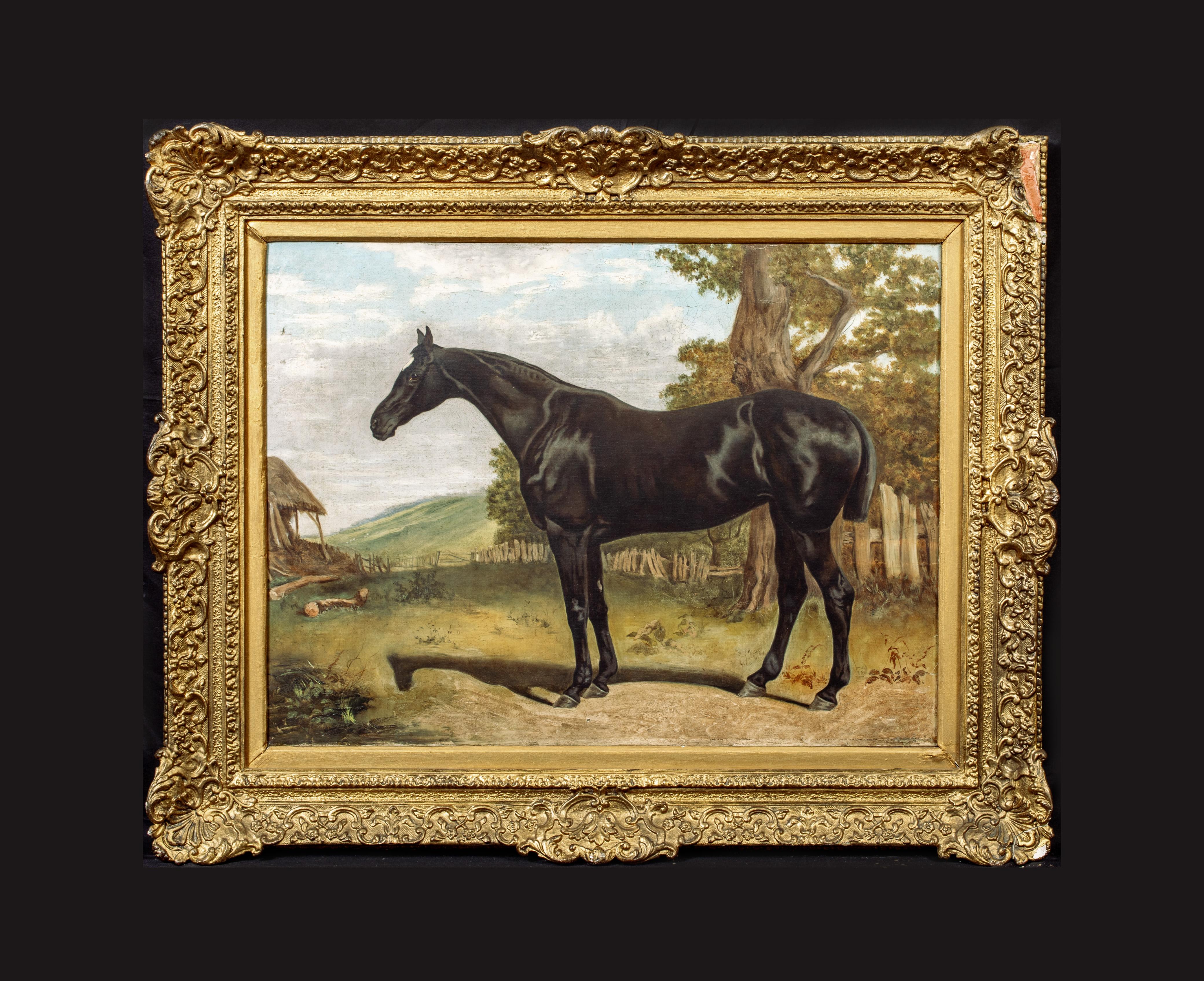 Unknown - Portrait Of A Black Hunter In A Landscape, 19th Century For ...