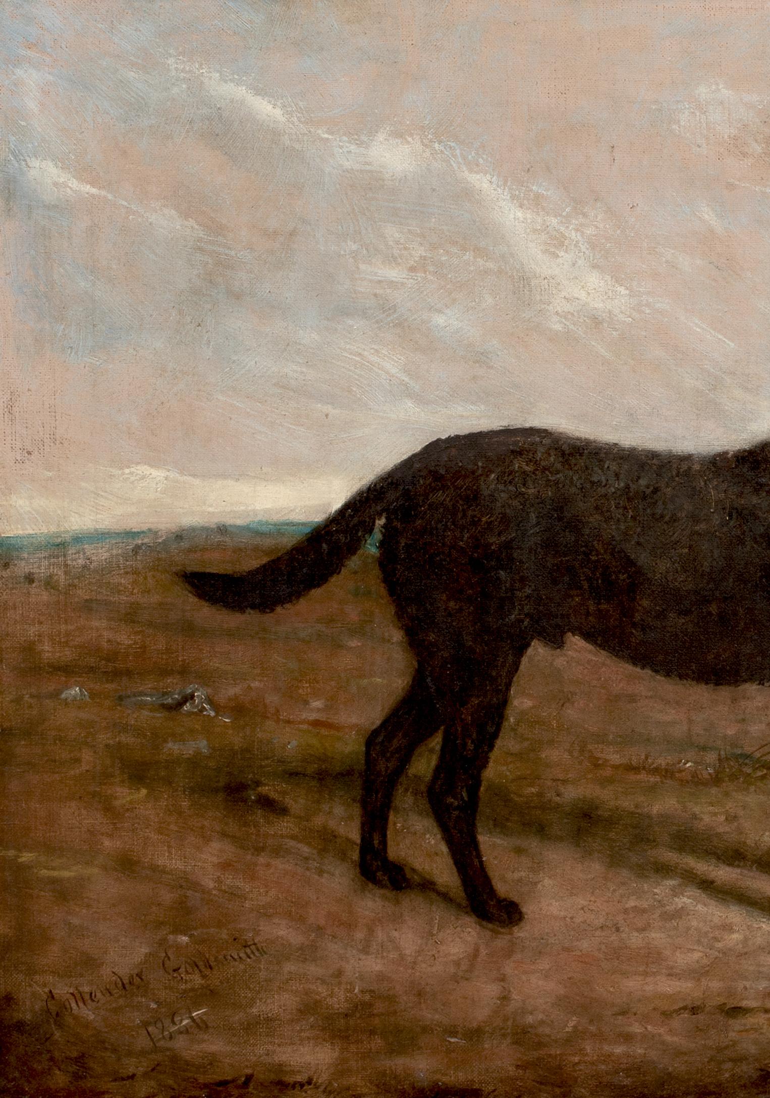 Portrait d'un labrador noir, 19e siècle  par Collender Goldsmith en vente 6