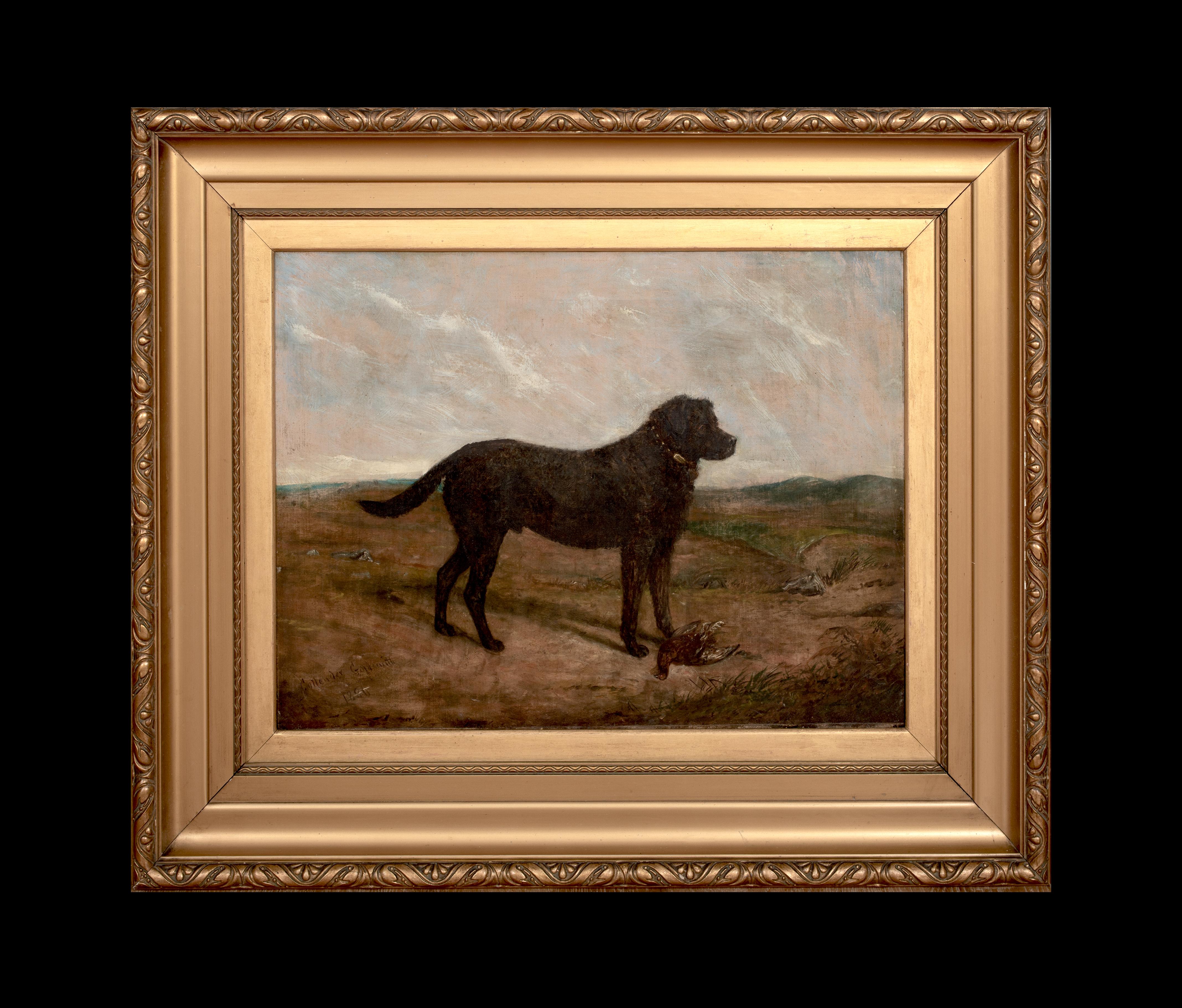 Portrait d'un labrador noir, 19e siècle  par Collender Goldsmith - Painting de Unknown