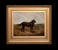 Portrait of a Black Labrador Retriever, 19th Century  by Collender Goldsmith
