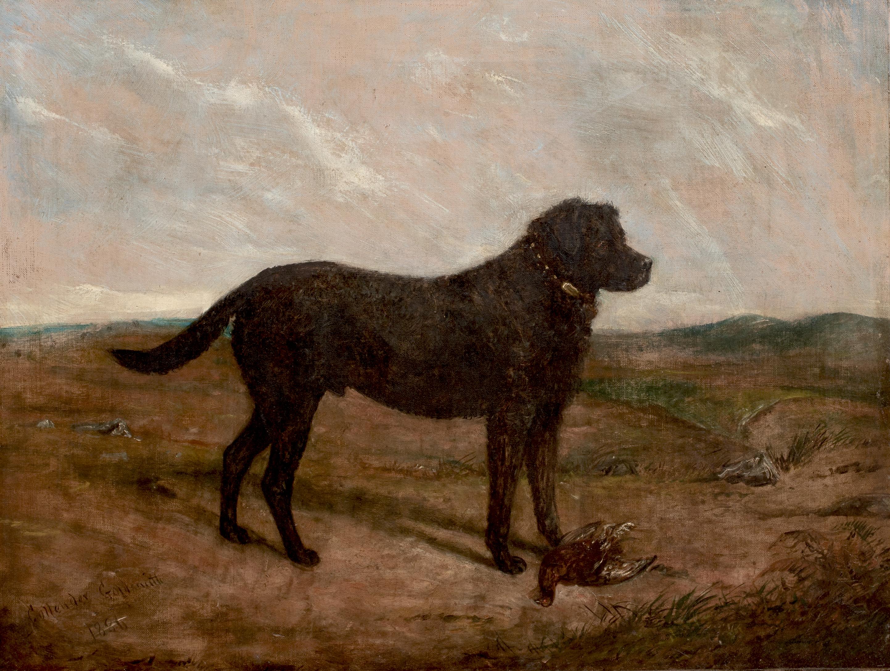 Portrait d'un labrador noir, 19e siècle  par Collender Goldsmith - Marron Animal Painting par Unknown