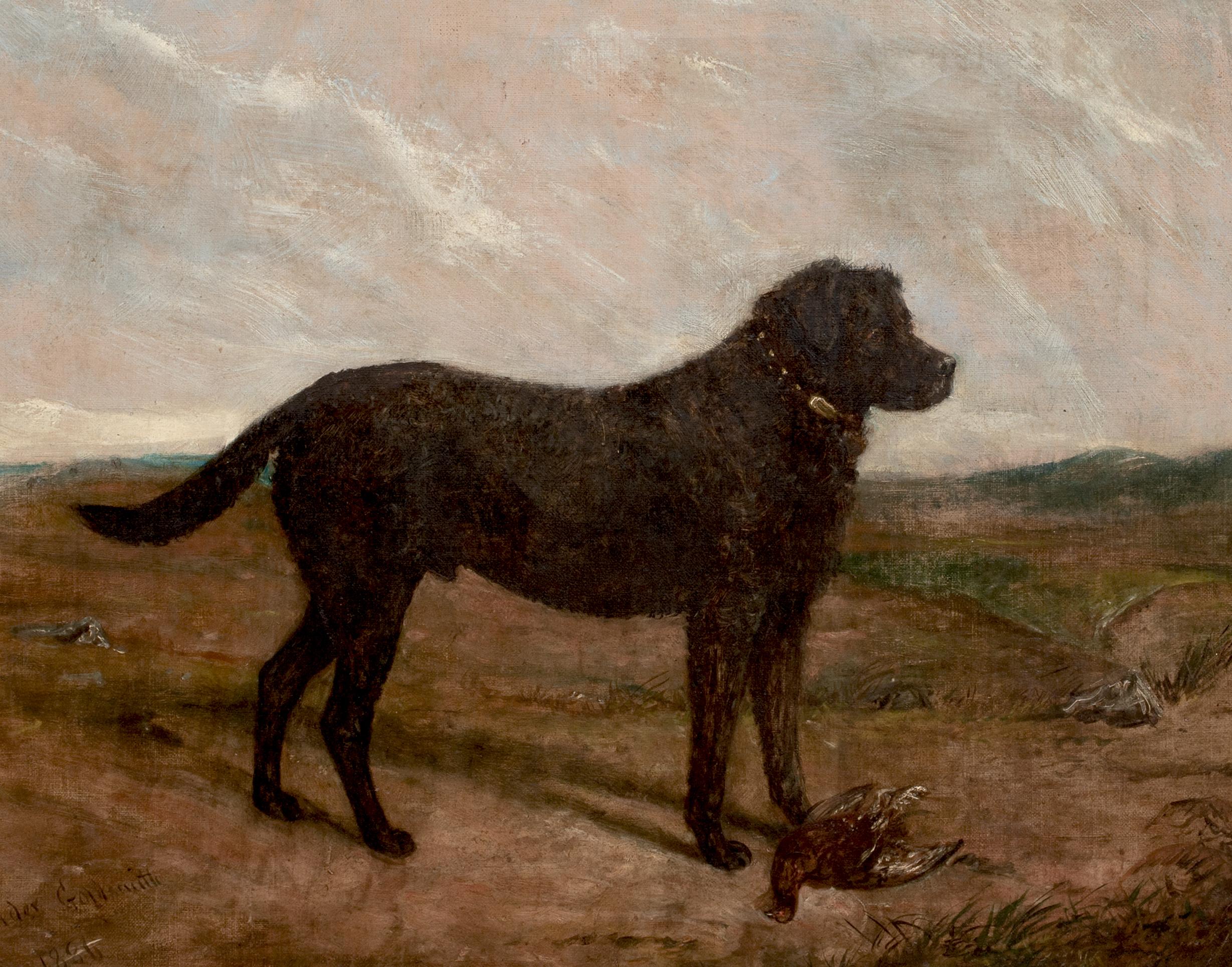 Portrait d'un labrador noir, 19e siècle  par Collender Goldsmith en vente 1