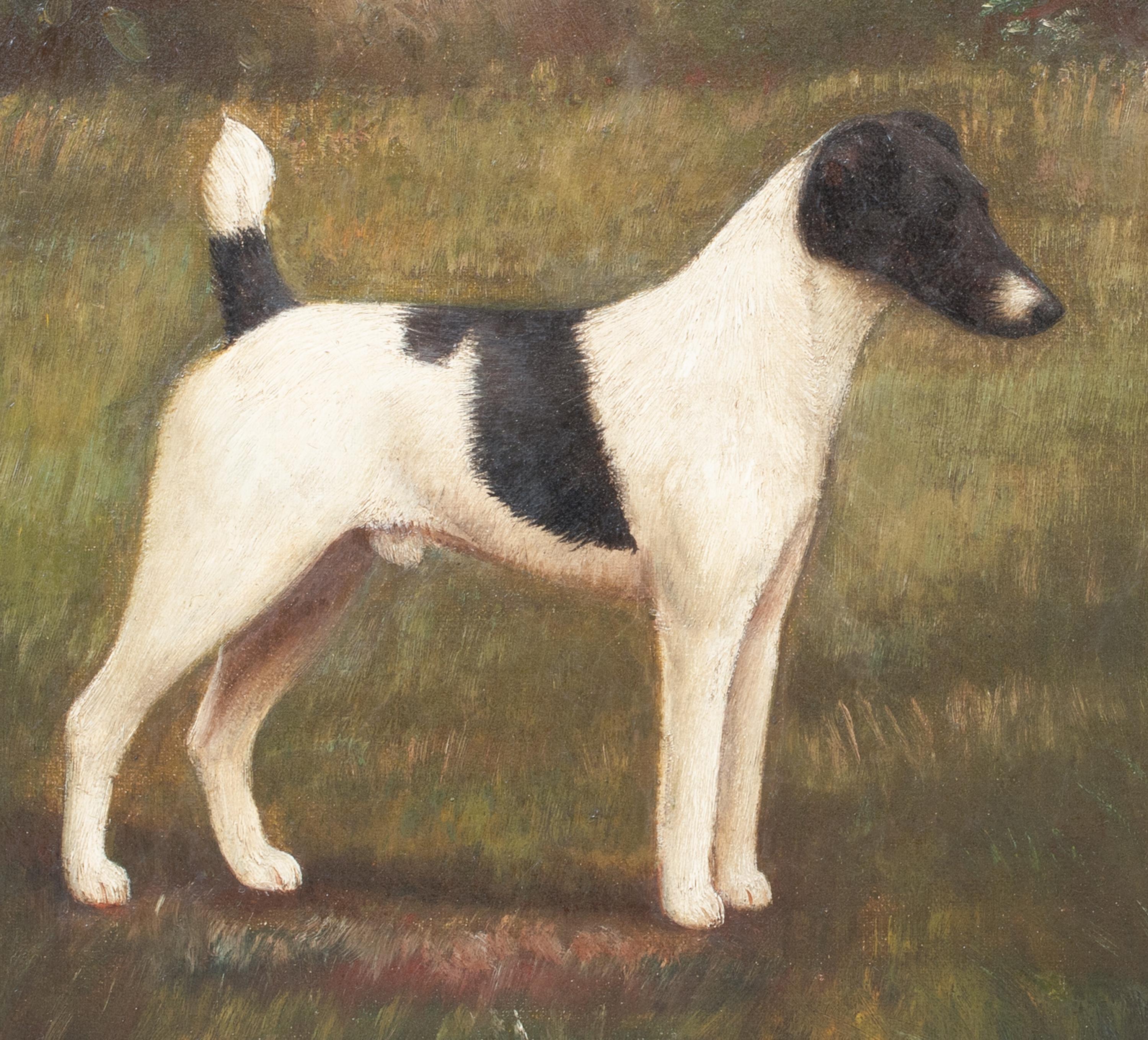  Portrait Of A Black & White Jack Russell Terrier, 19th Century HENRY CROWTHER For Sale 7