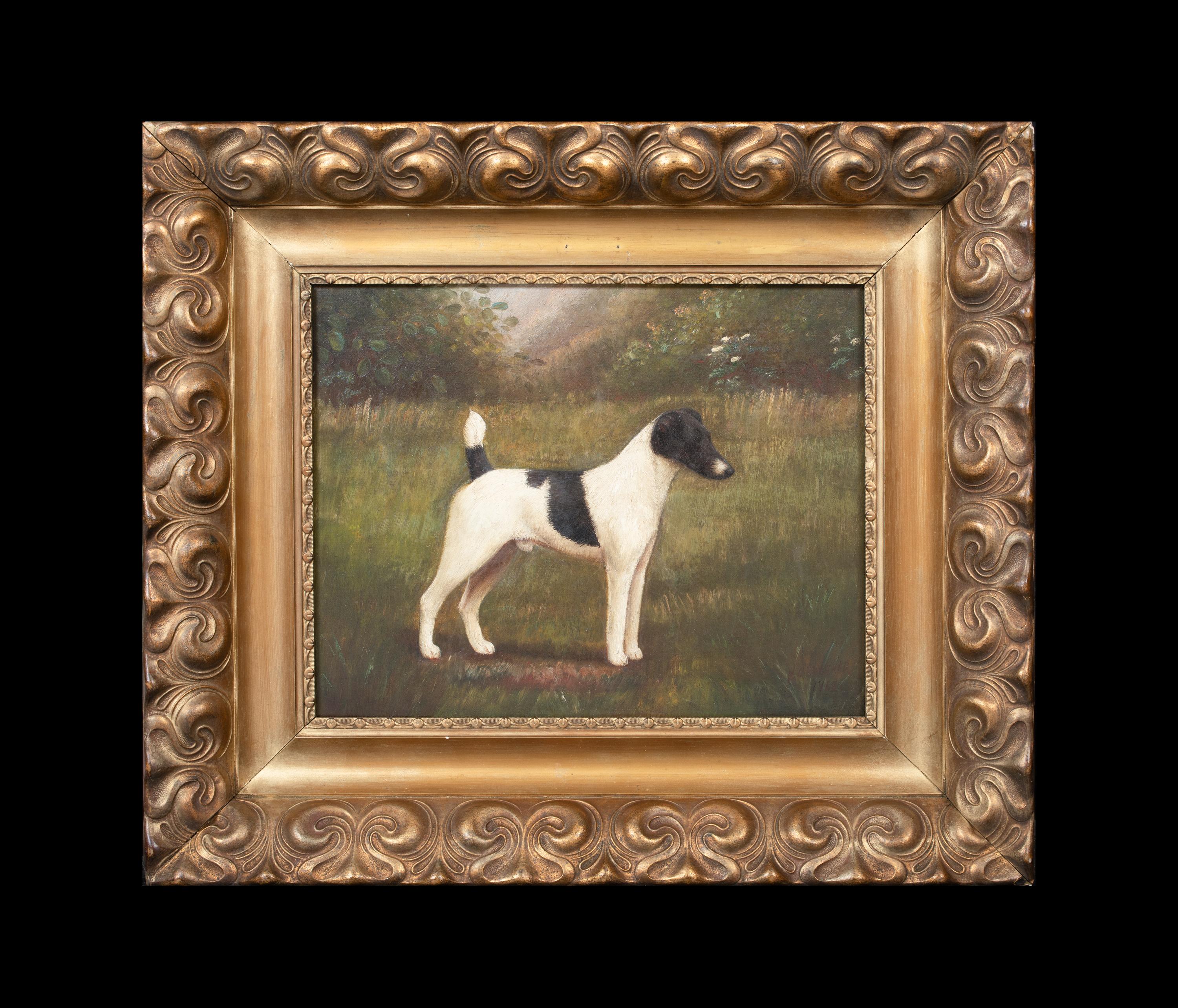  Portrait Of A Black & White Jack Russell Terrier, 19th Century HENRY CROWTHER - Painting by Unknown