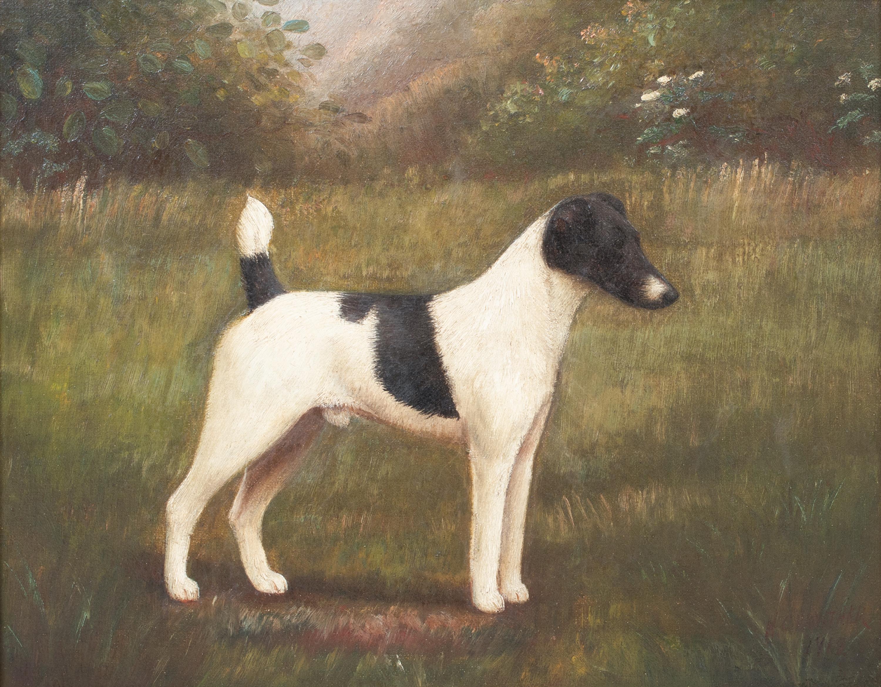 
Portrait d'un Jack Russell Terrier noir et blanc, 19e siècle 

par Henry CROWTHER - Peintre de chiens du 19ème siècle

Portrait anglais du 19e siècle d'un Jack Russell Terrier noir et blanc, huile sur toile de Henry Crowthers. Excellent état et