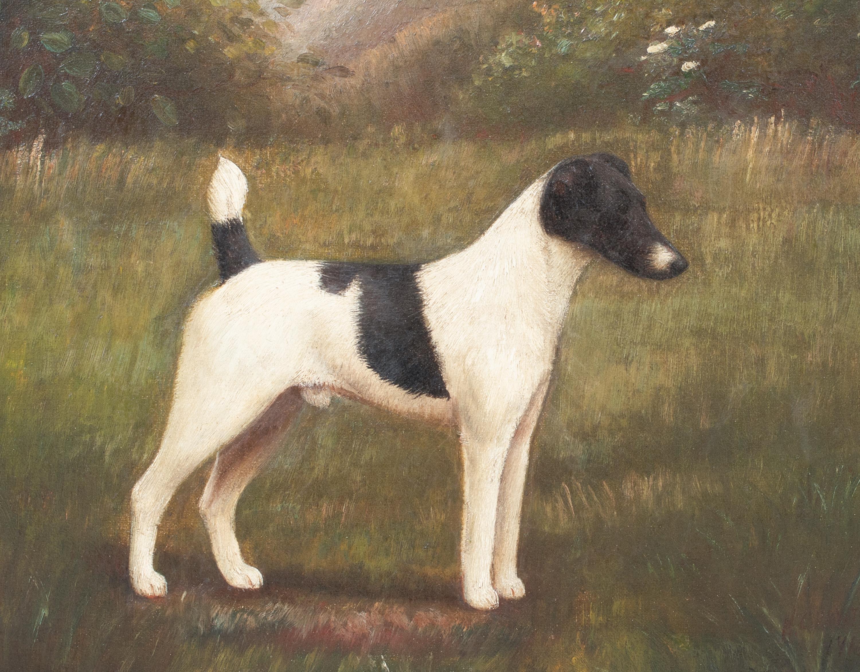  Portrait Of A Black & White Jack Russell Terrier, 19th Century HENRY CROWTHER For Sale 2