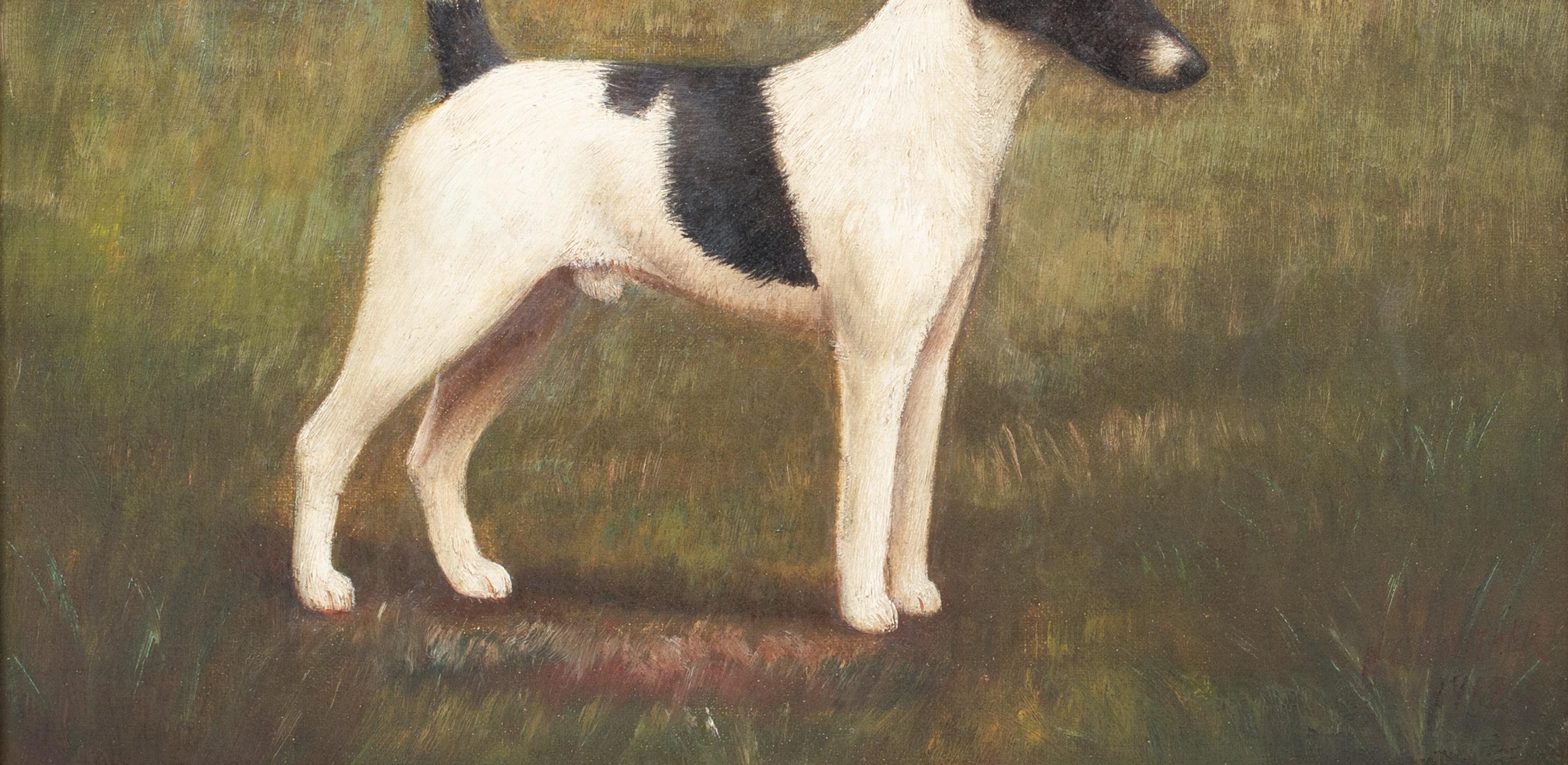  Portrait Of A Black & White Jack Russell Terrier, 19th Century HENRY CROWTHER For Sale 3