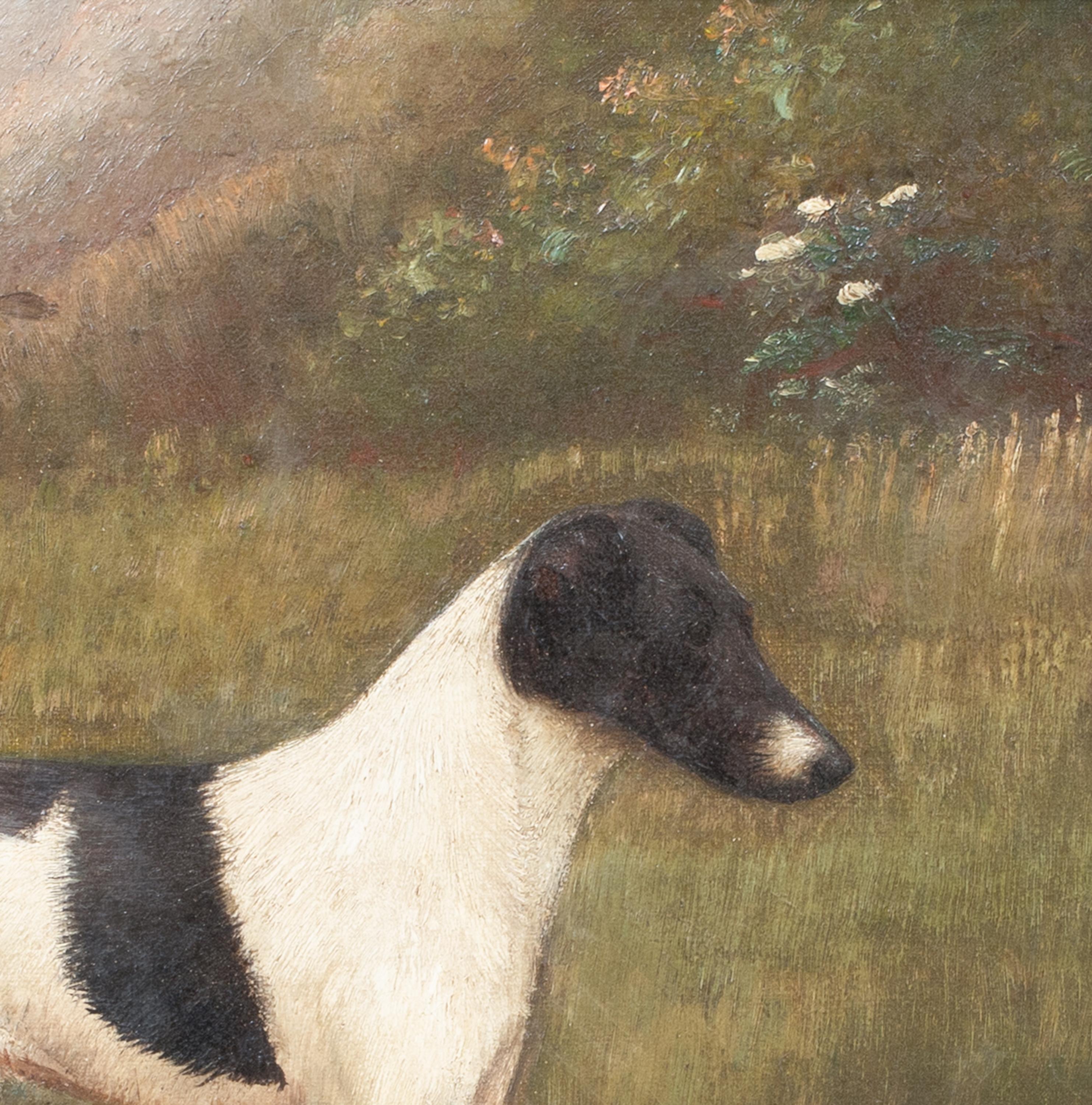  Portrait Of A Black & White Jack Russell Terrier, 19th Century HENRY CROWTHER For Sale 4
