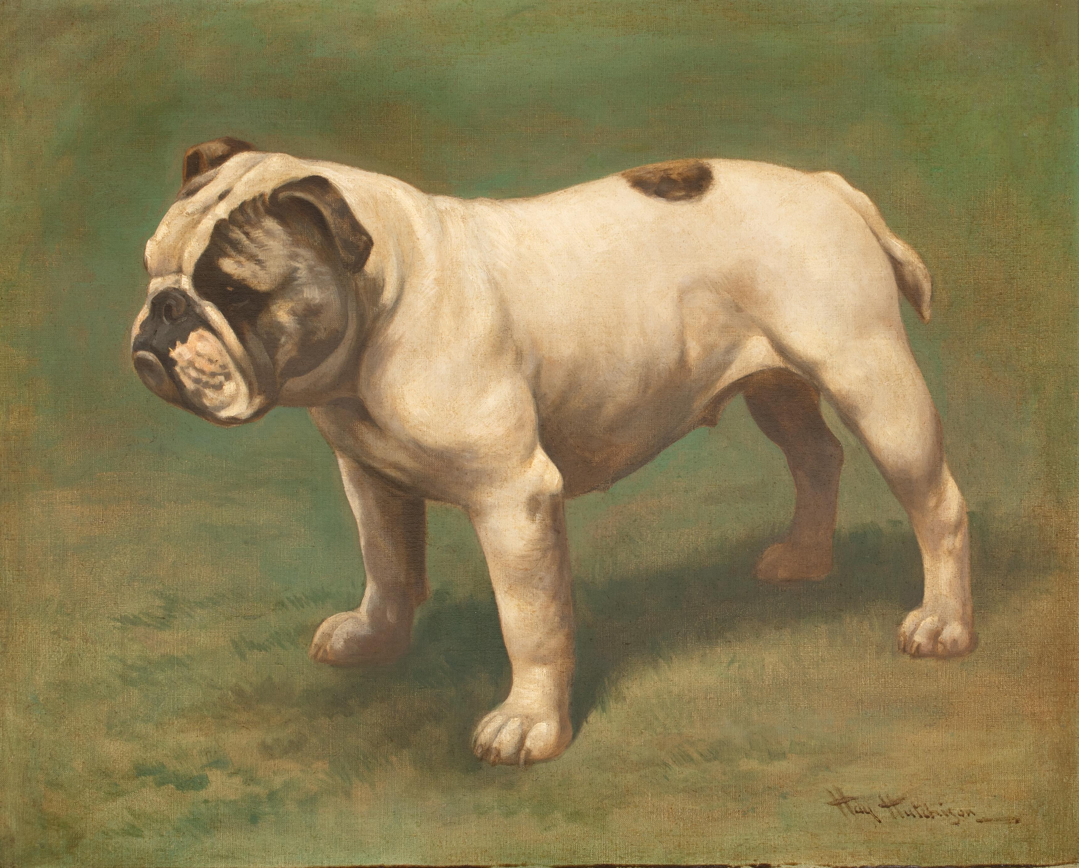 bulldog inglese antico