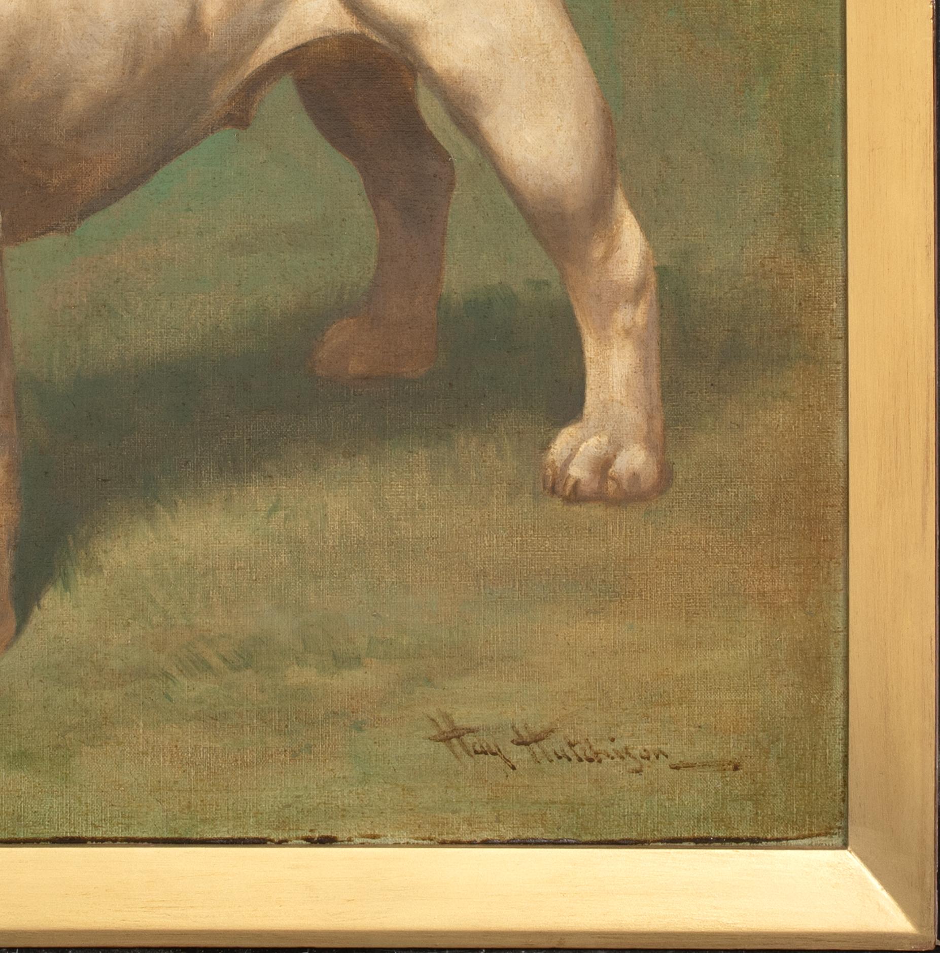 Ritratto di un bulldog inglese, circa 1900  di Hay HUTCHISON (circa 1900) - Animal Painting Marrone di Unknown