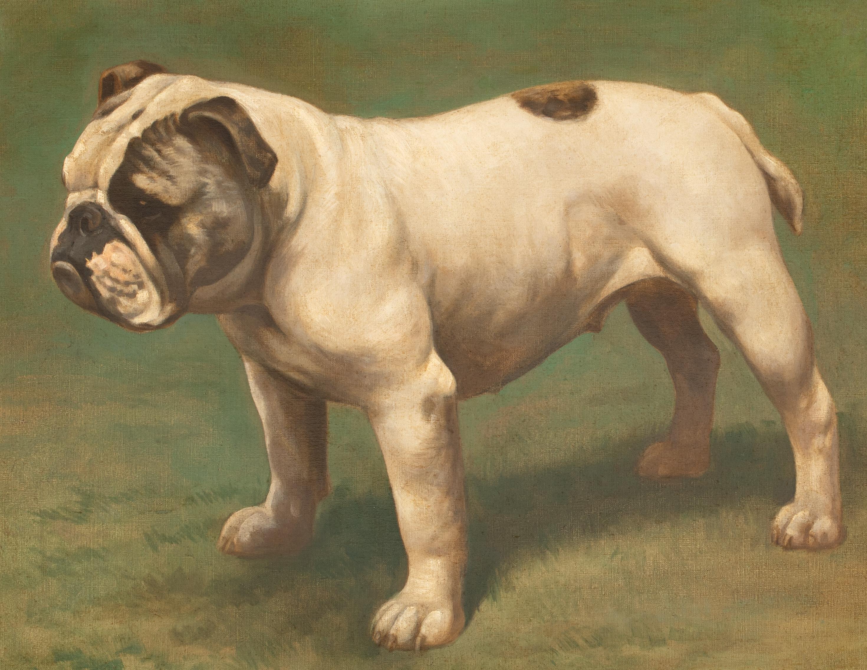 Ritratto di un bulldog inglese, circa 1900

di Hay HUTCHISON (circa 1900)

Grande ritratto del 1900 circa di un Bulldog inglese, olio su tela di Hay Hutchison. Ritratto di Bulldog Inglese di eccellente qualità e condizione e un primo importante