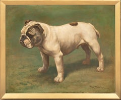 Ritratto di un bulldog inglese, circa 1900  di Hay HUTCHISON (circa 1900)