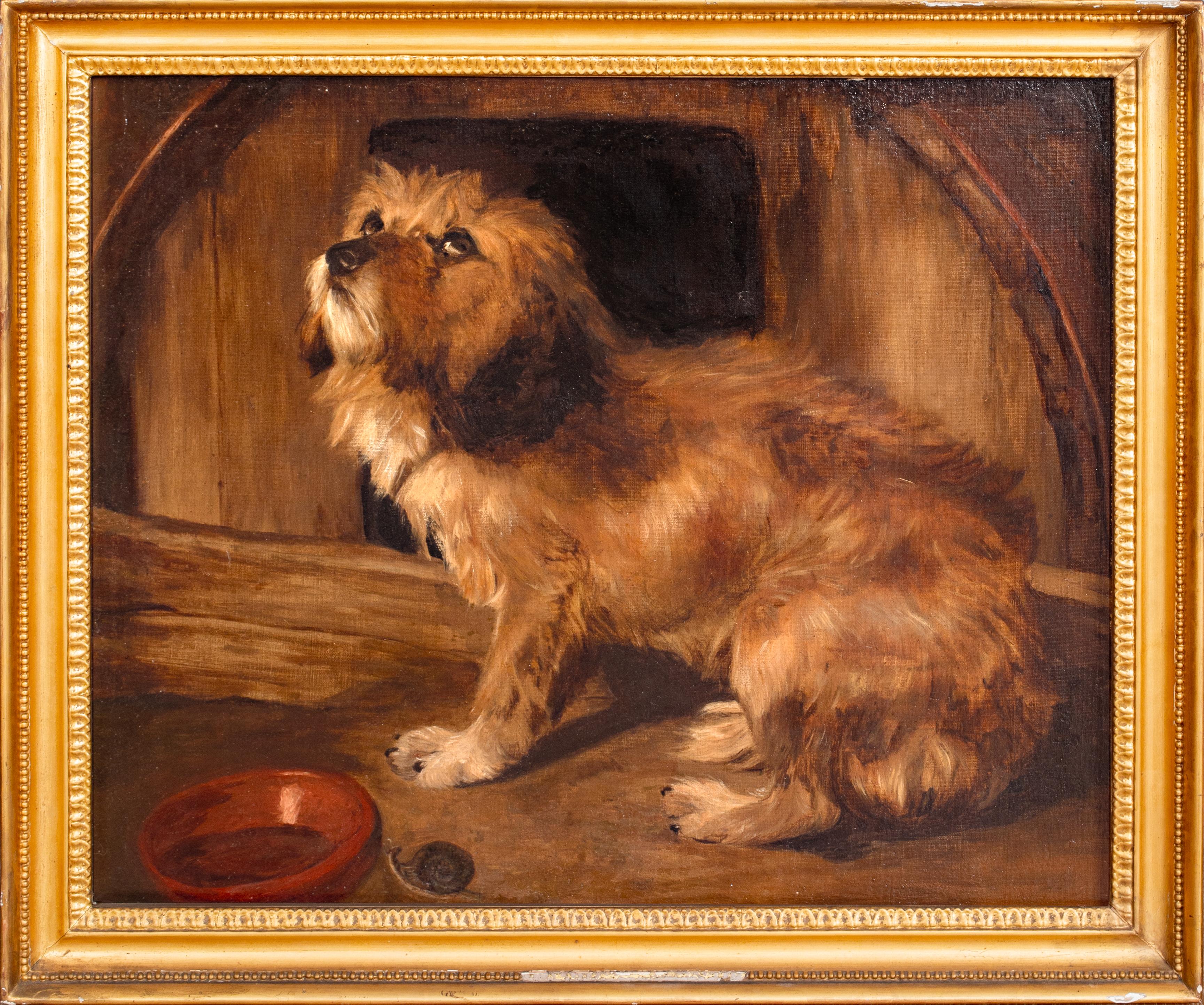 Portrait Of A Brown Terrier Dog, 19th Century circle Sir Edwin Landseer
