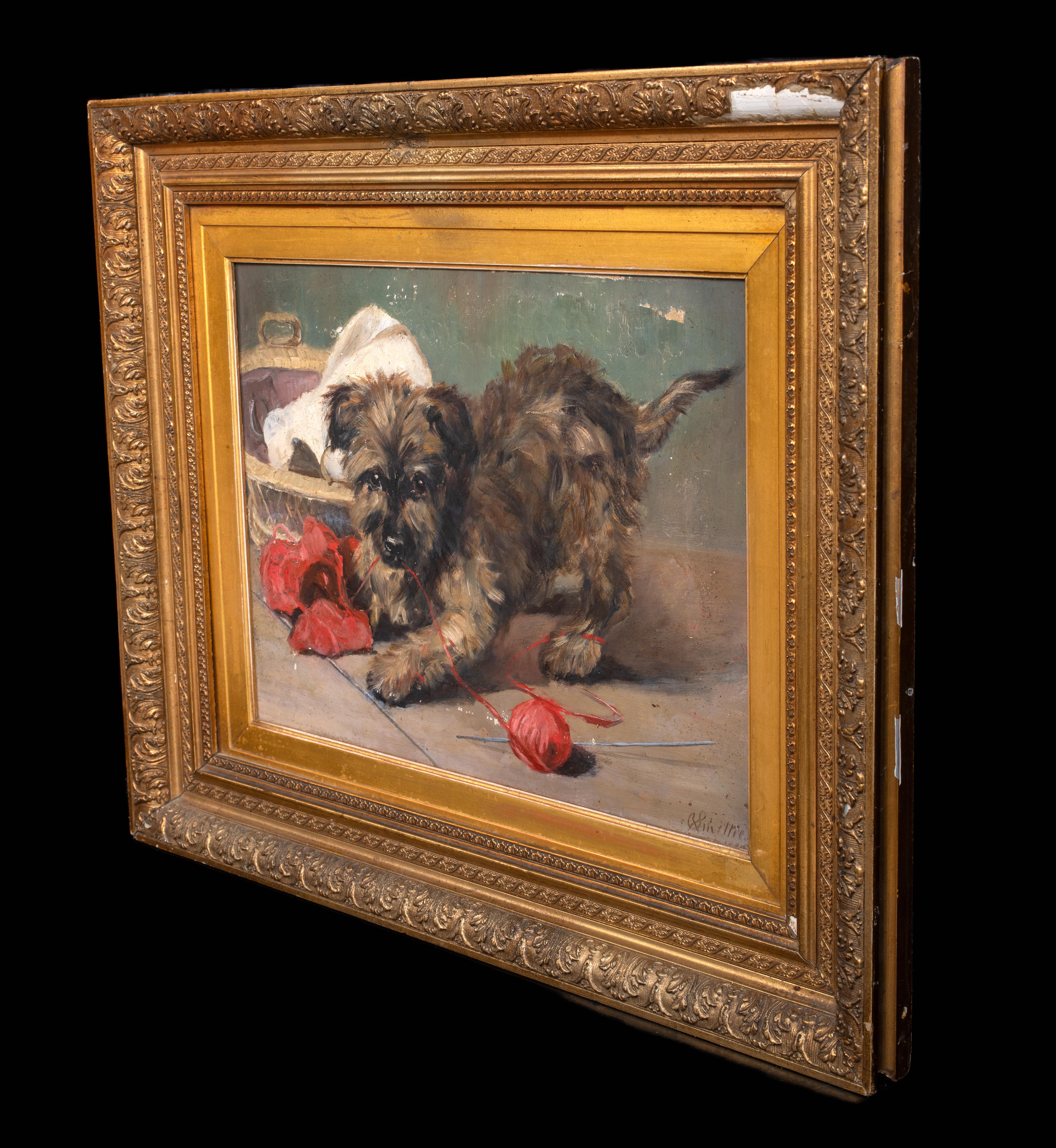 Portrait Of A Carin Terrier Puppy Playing, 19th Century  by Robert Smellie 5