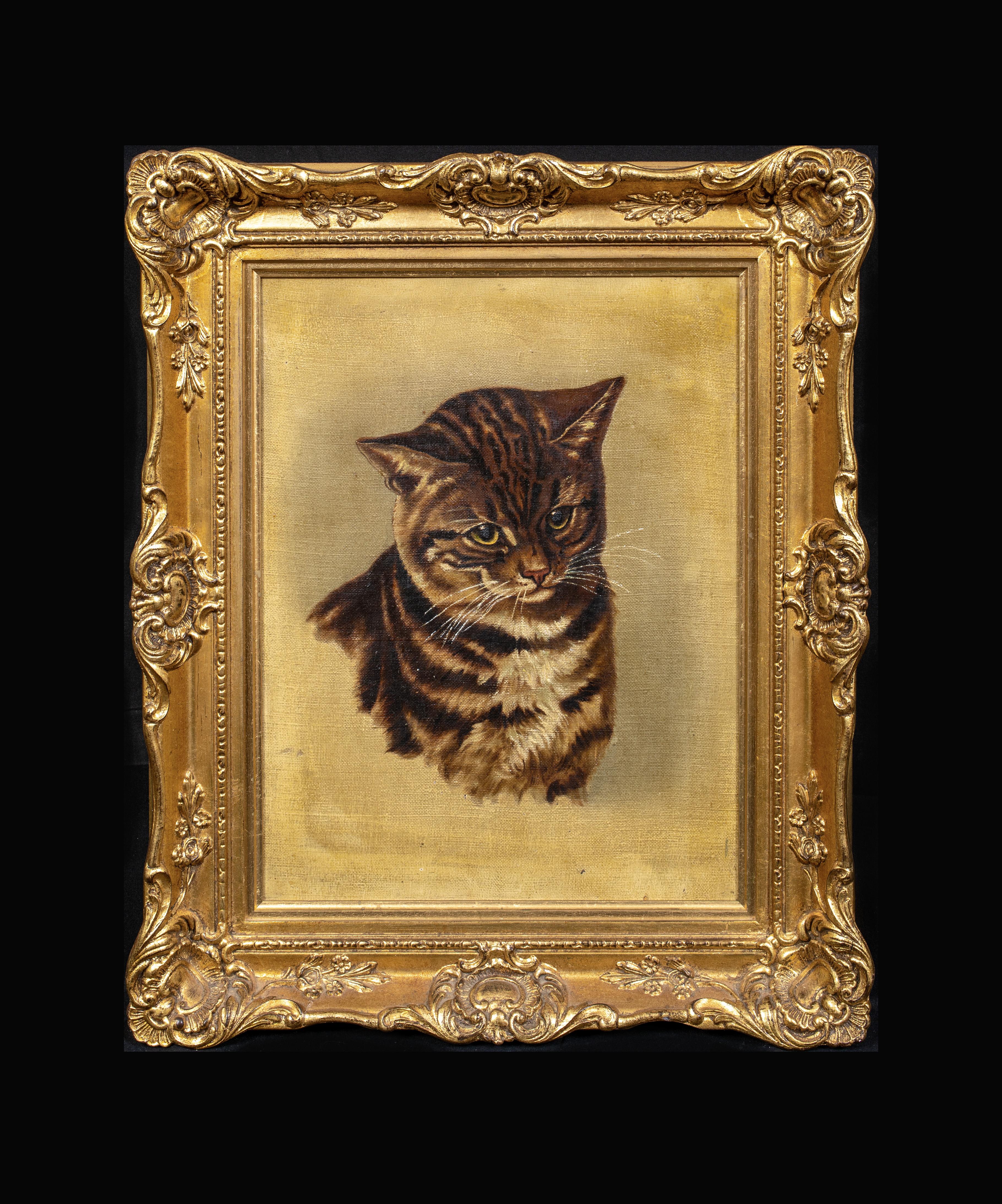 Portrait Of A Cat, 19th Century  English School   - Painting by Unknown