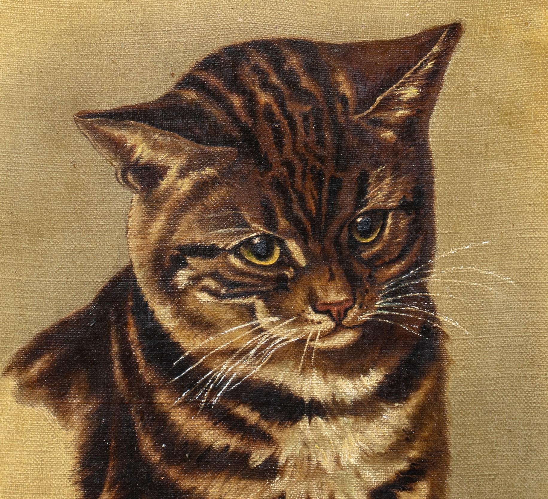 Portrait Of A Cat, 19th Century  English School   1