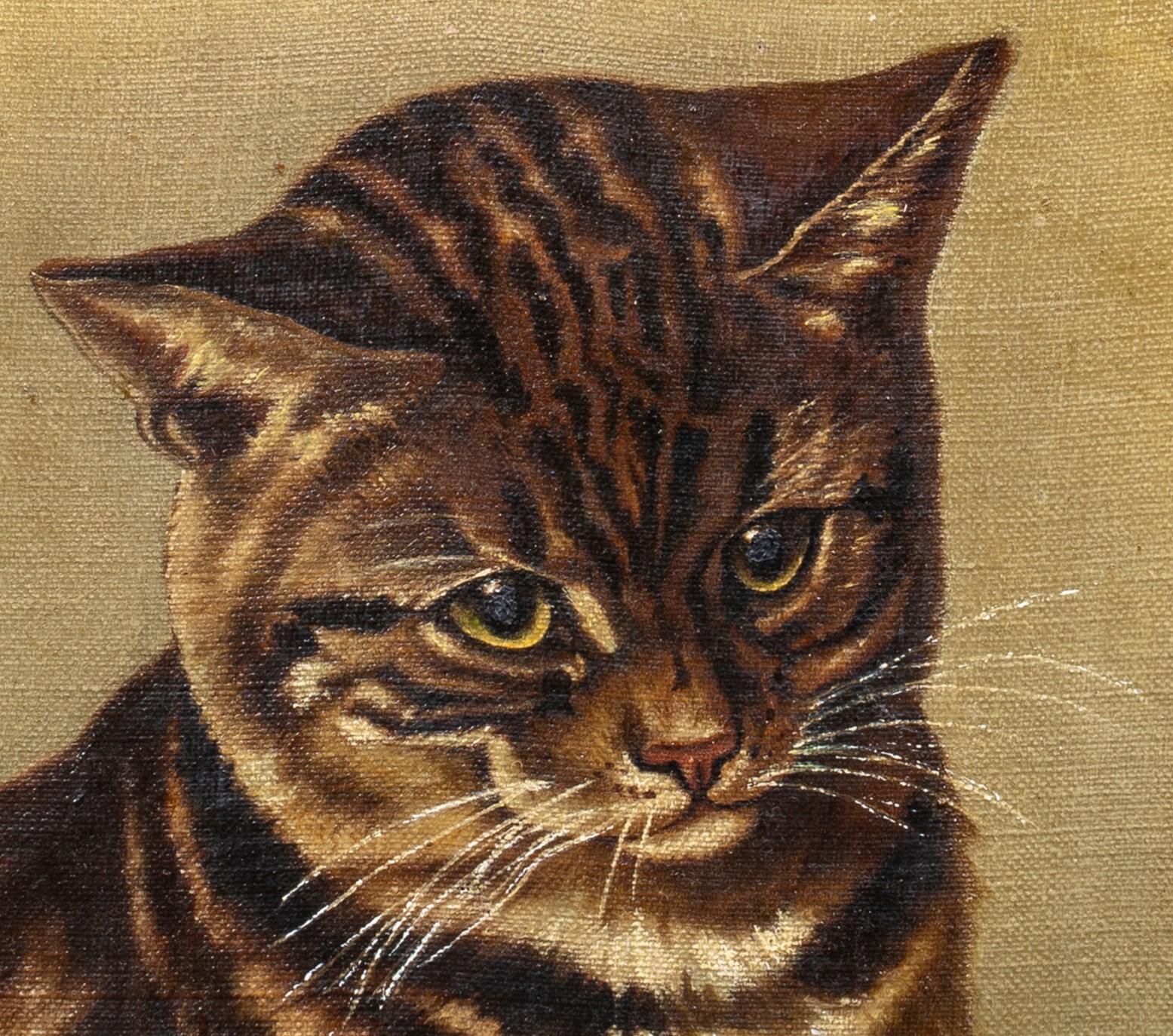 Portrait Of A Cat, 19th Century  English School   2