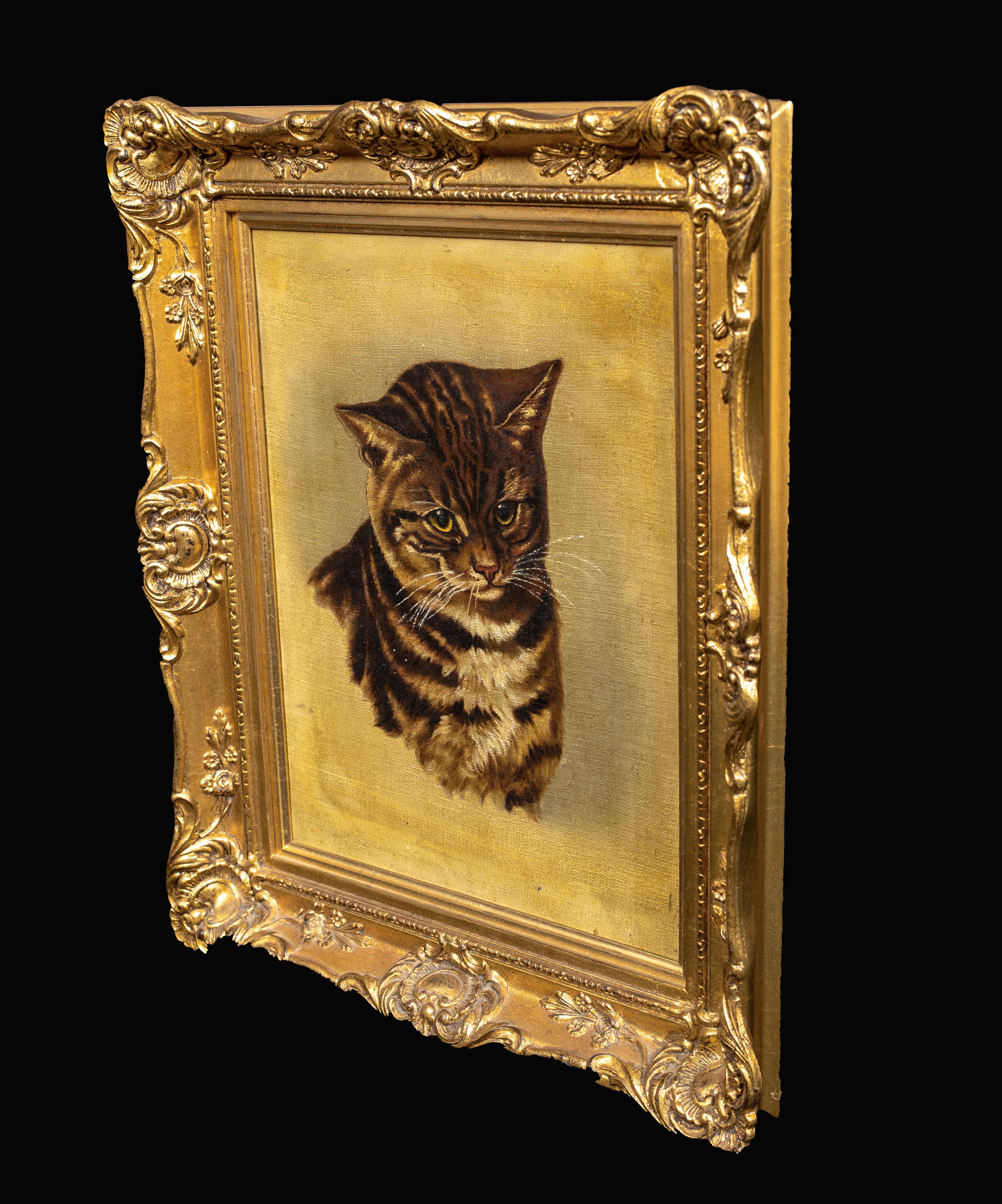 Portrait Of A Cat, 19th Century  English School   3