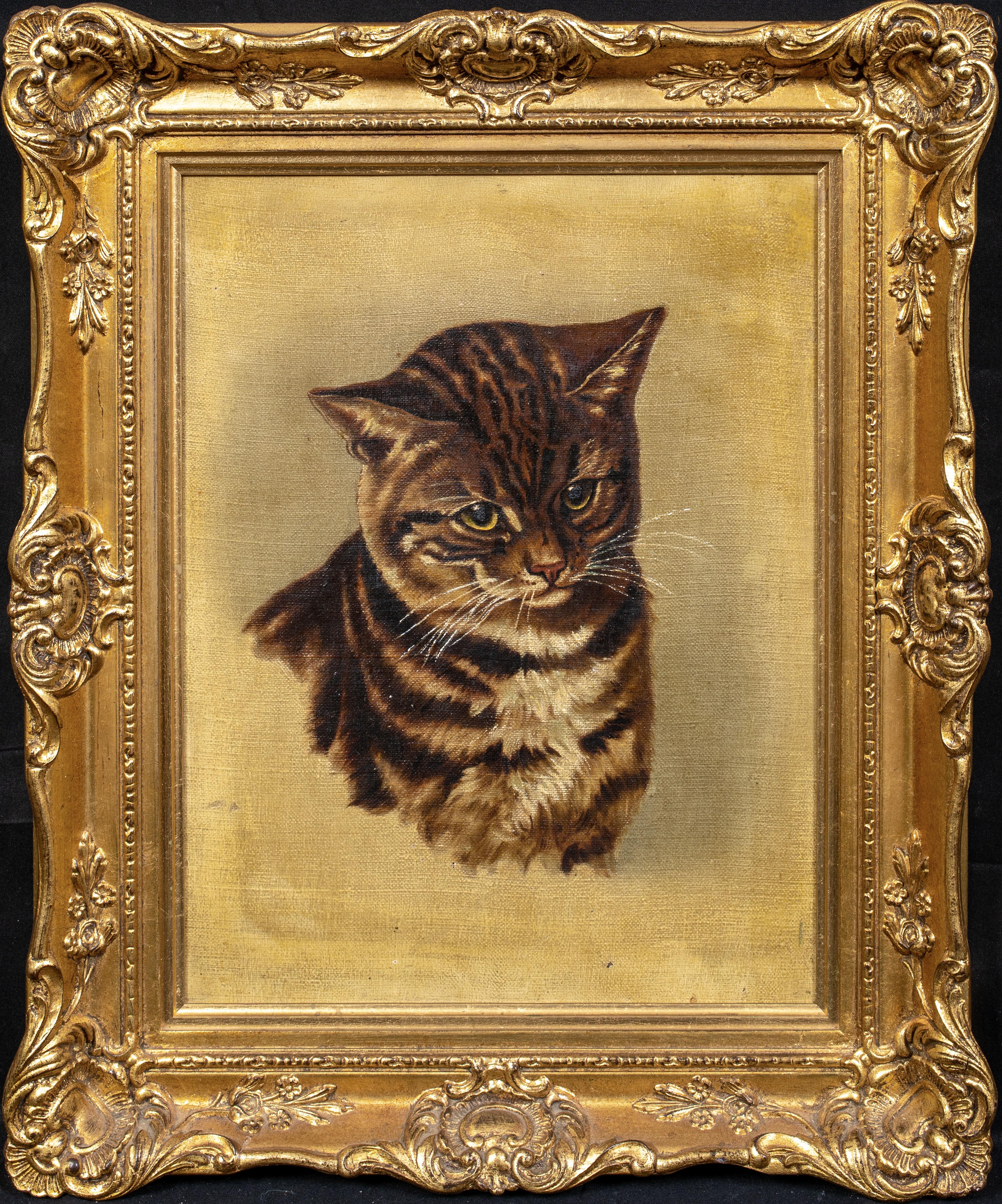 Unknown Portrait Painting - Portrait Of A Cat, 19th Century  English School  