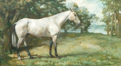 Portrait Of A Dapple Grey/White Horse, early 20th Century 